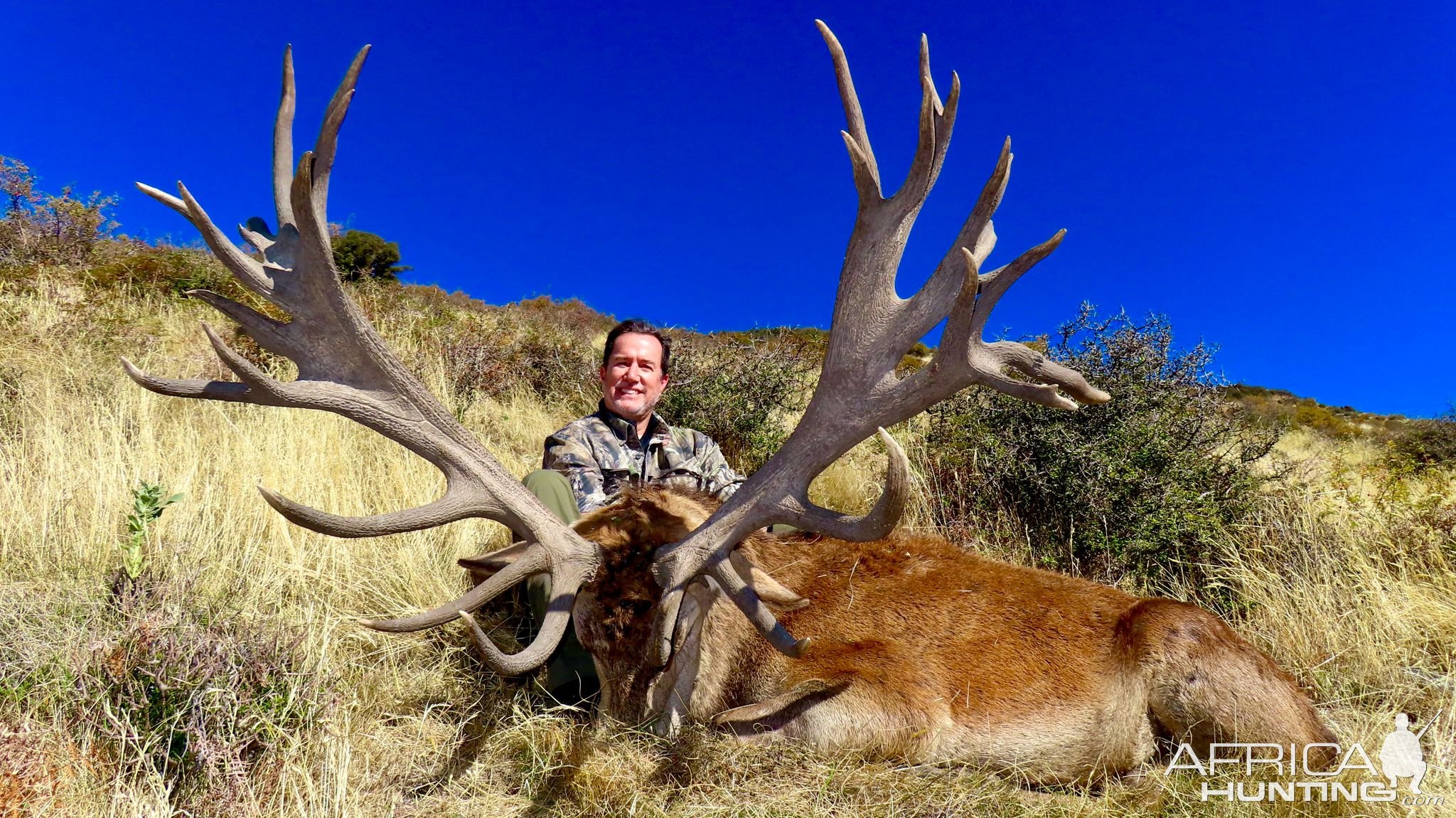 Red Stag Hunt New Zealand