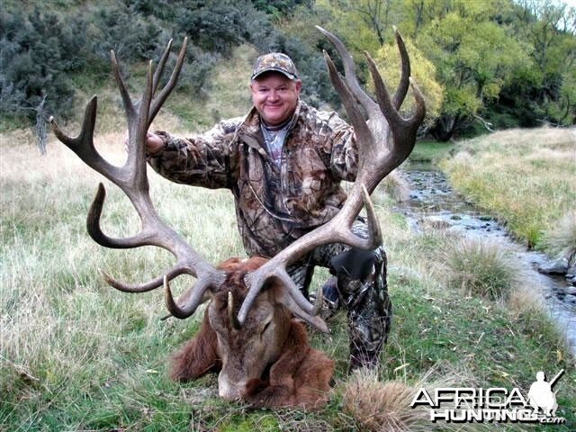 Red Stag Hunt New Zealand