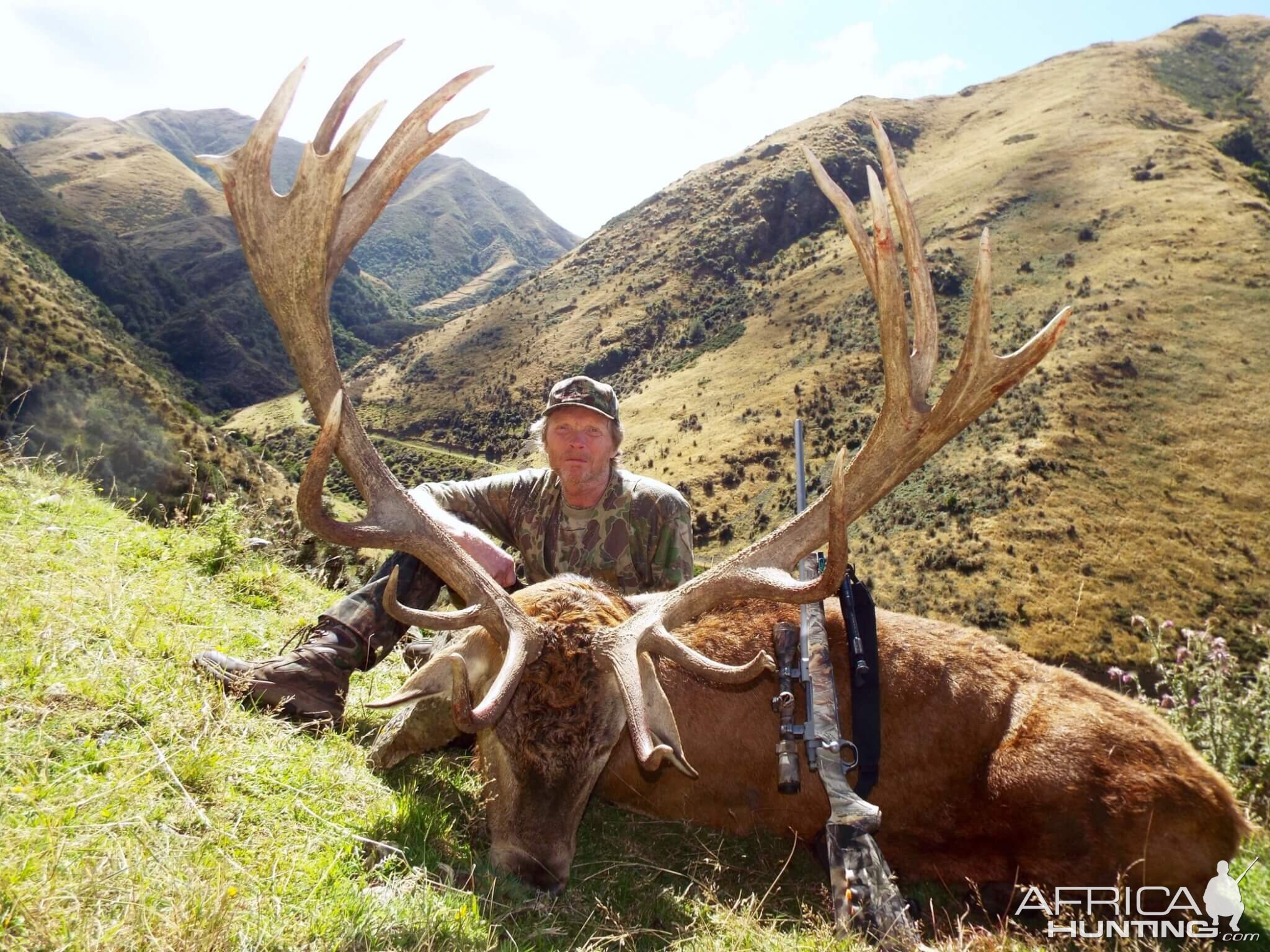 Red Stag Hunt New Zealand