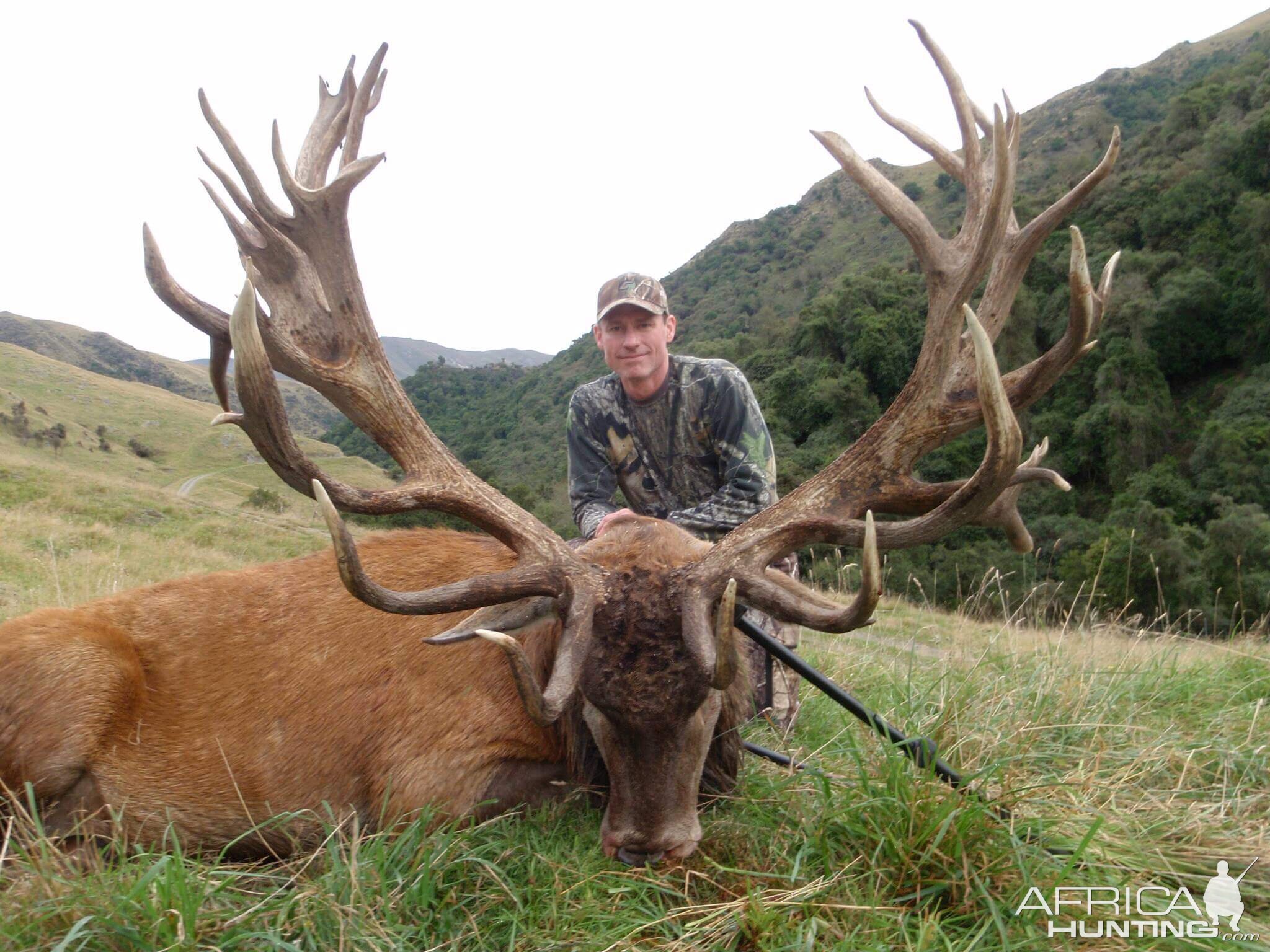 Red Stag Hunt New Zealand