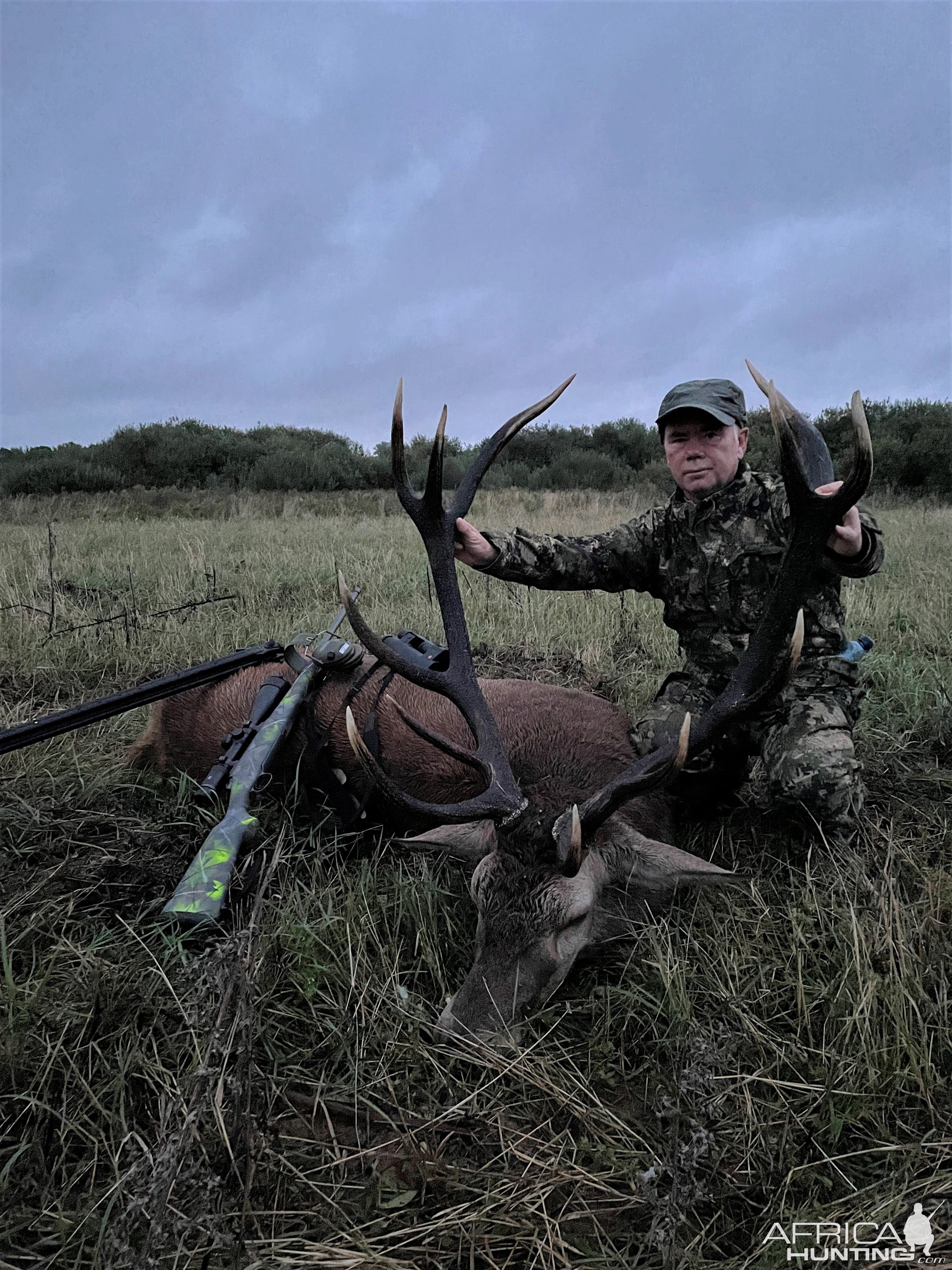 Red Stag Hunt Poland