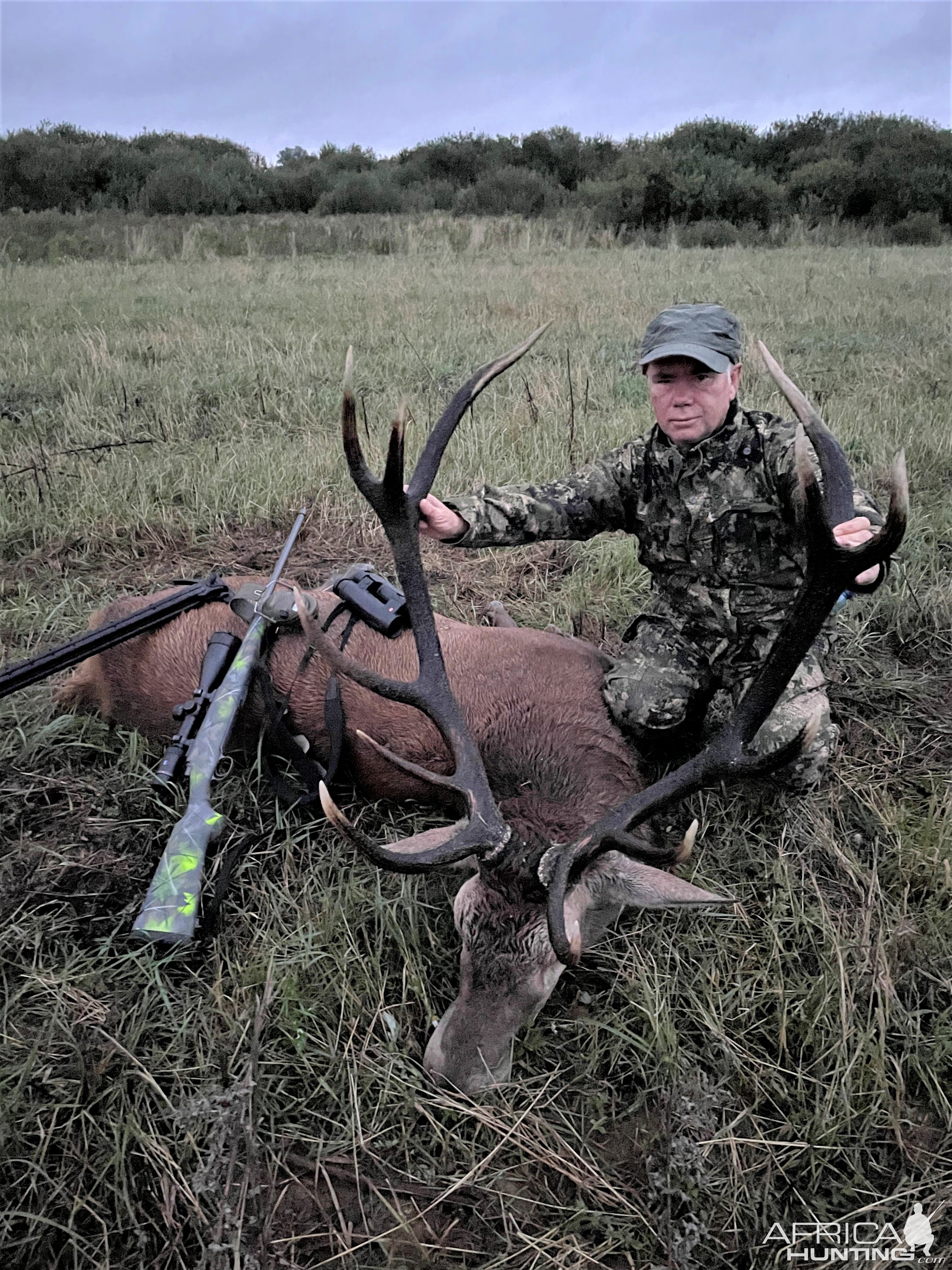 Red Stag Hunt Poland