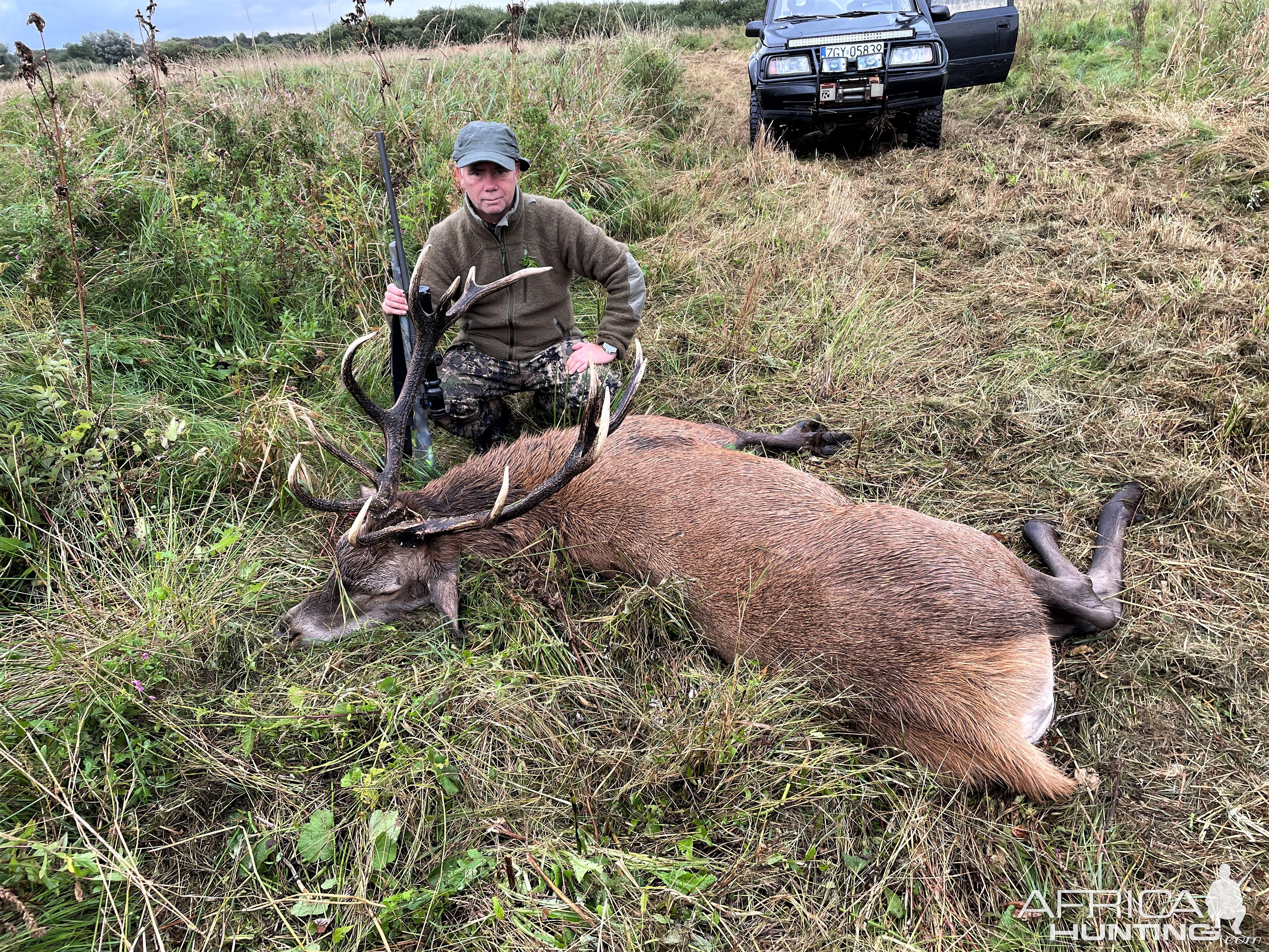 Red Stag Hunt Poland