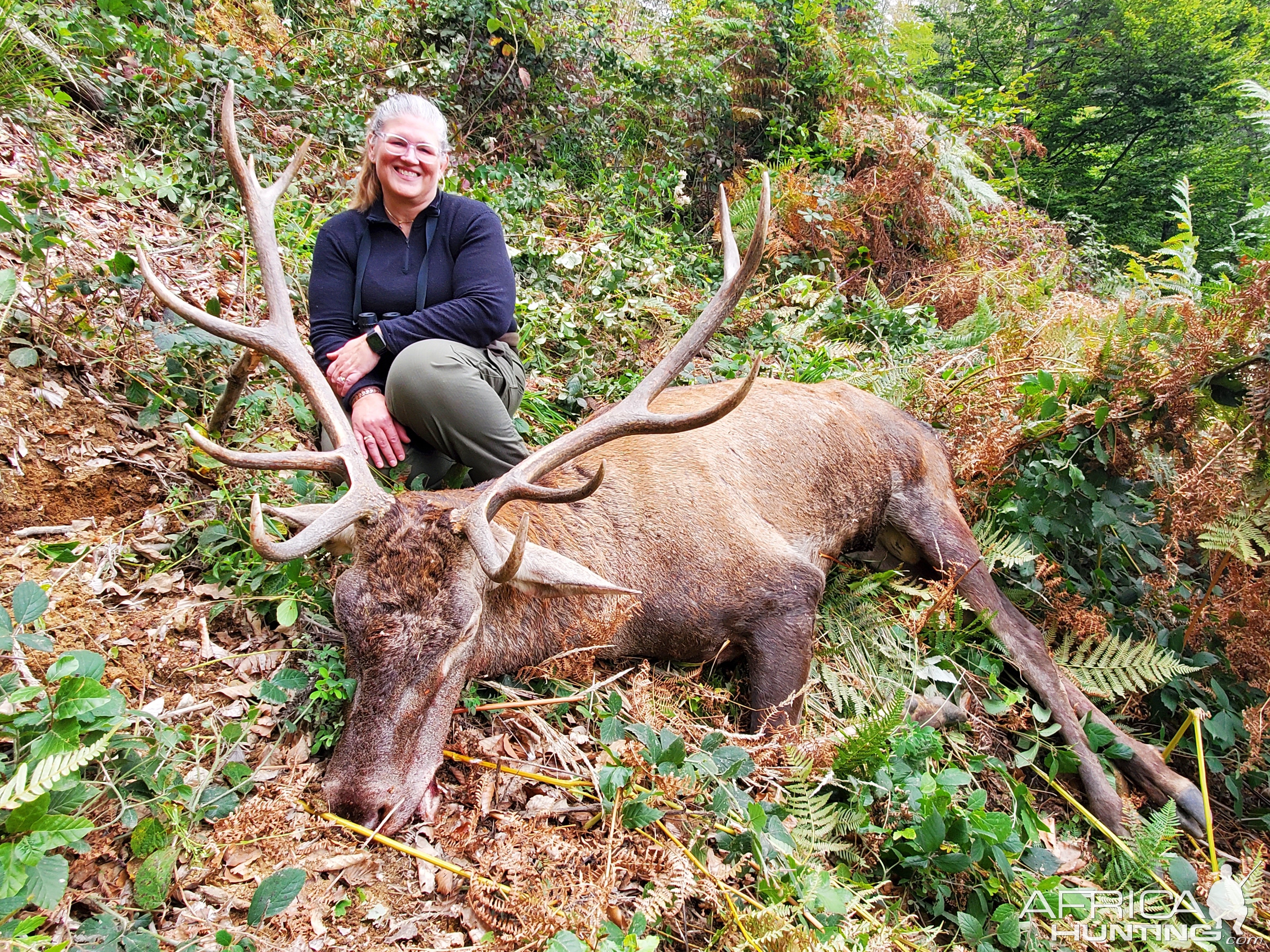 Red Stag Hunt Romania