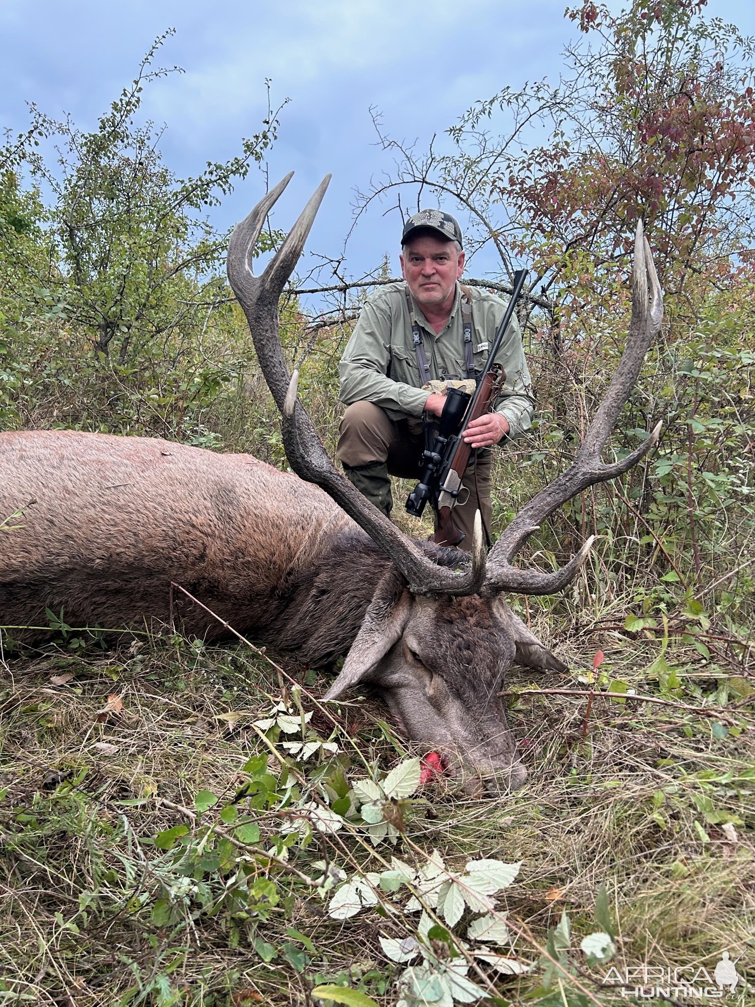 Red Stag Hunt Romania