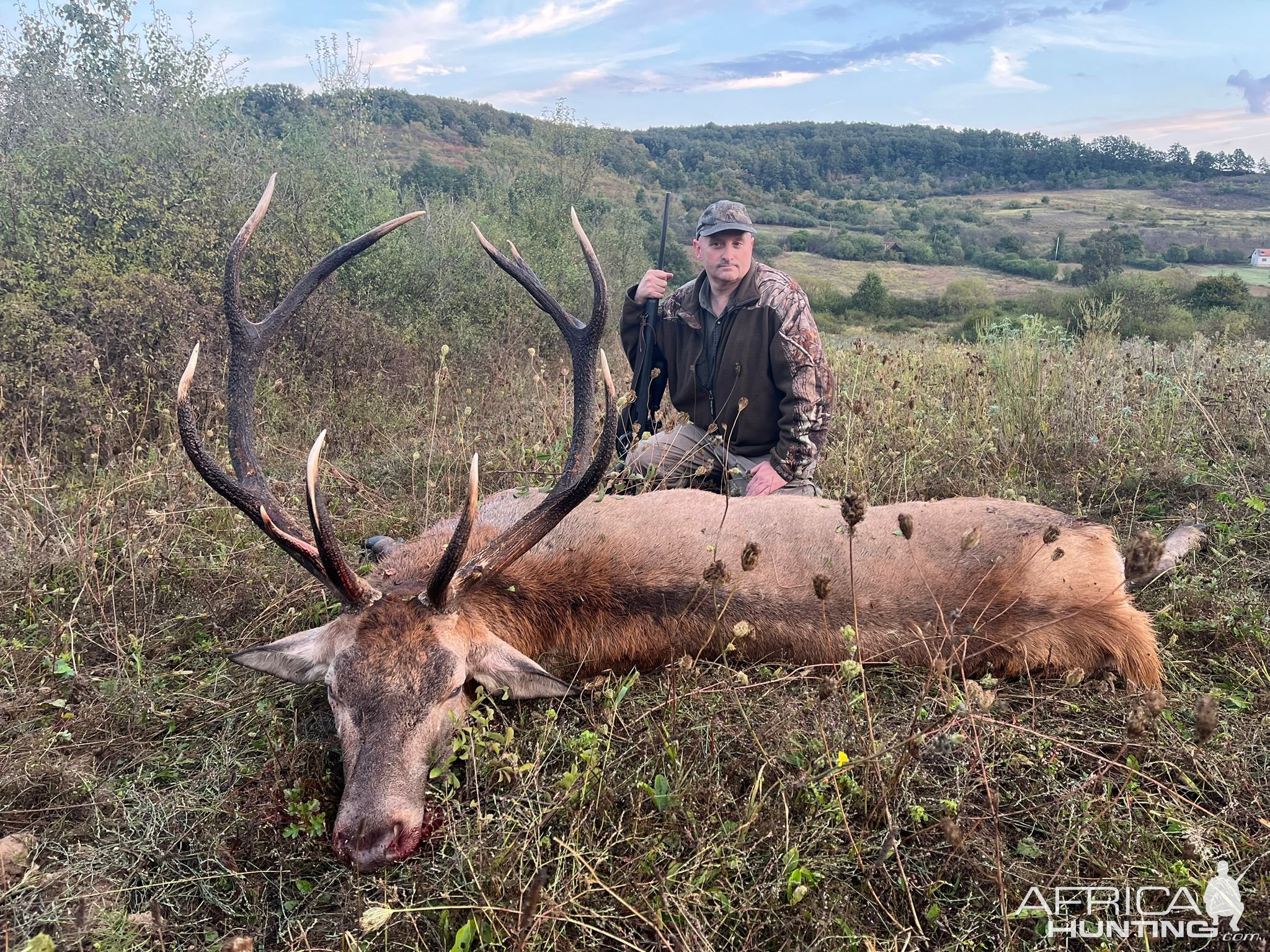 Red Stag Hunt Romania