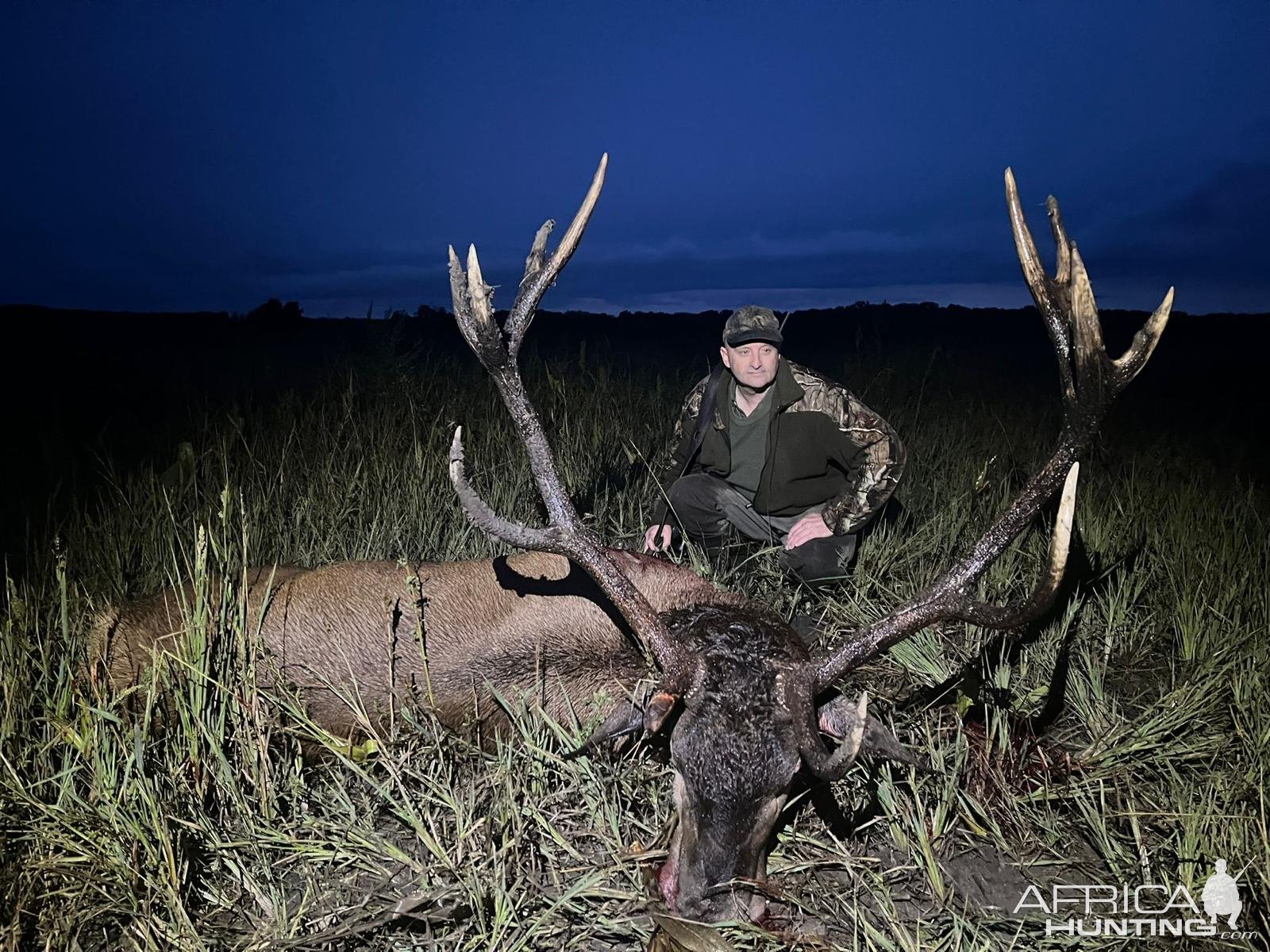 Red Stag Hunt Romania