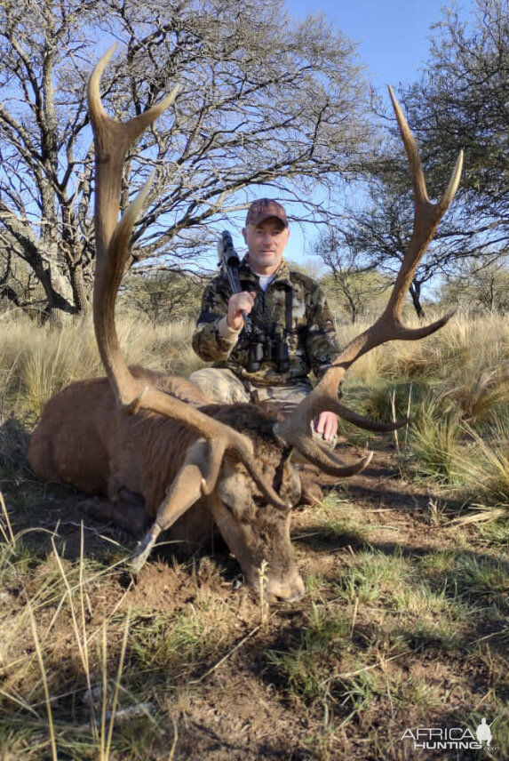 Red Stag Hunting Argentina