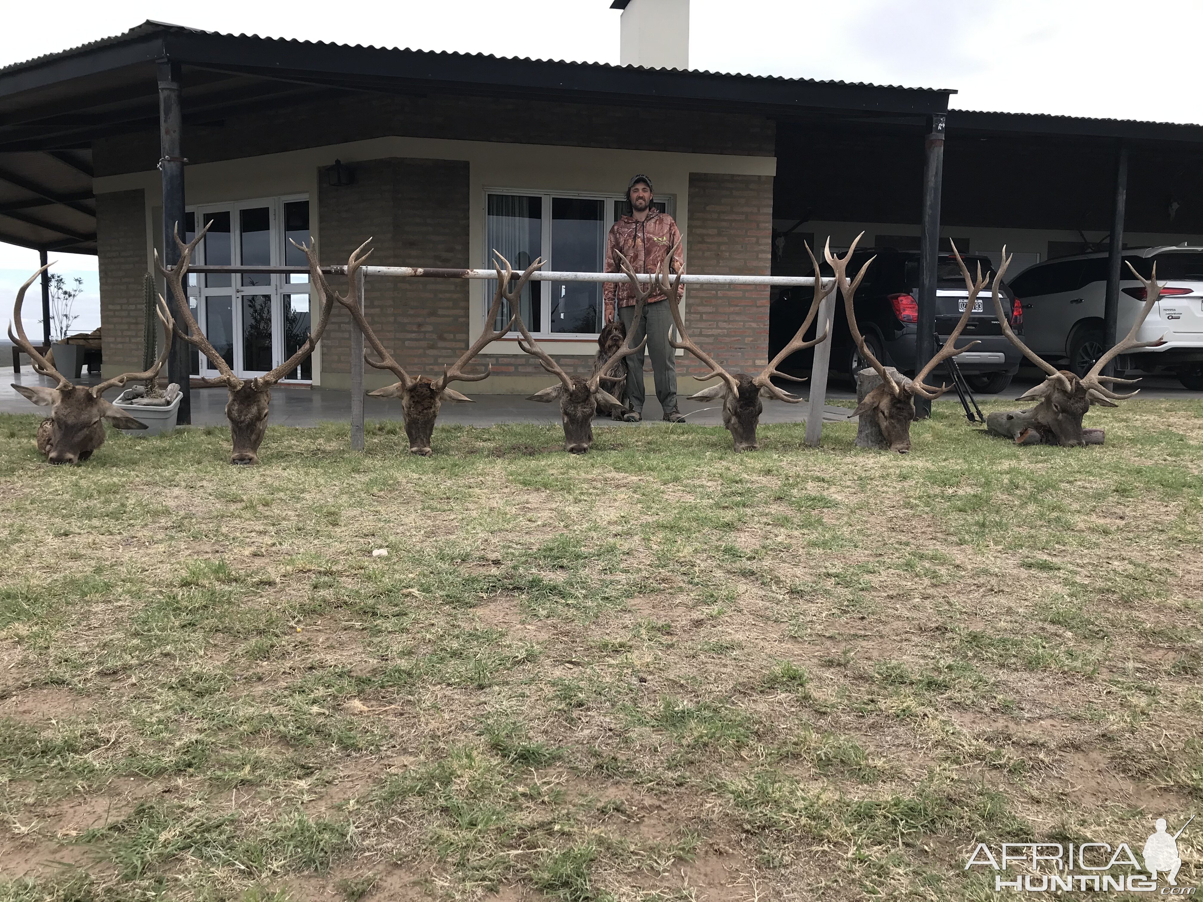 Red Stag Hunting Argentina