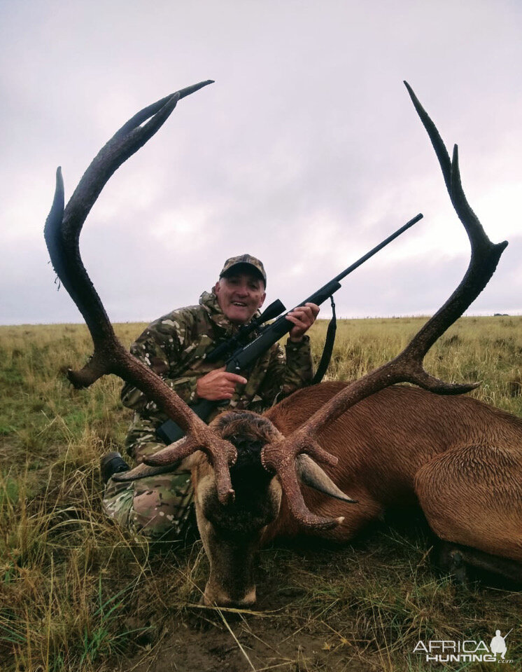 Red Stag Hunting Argentina