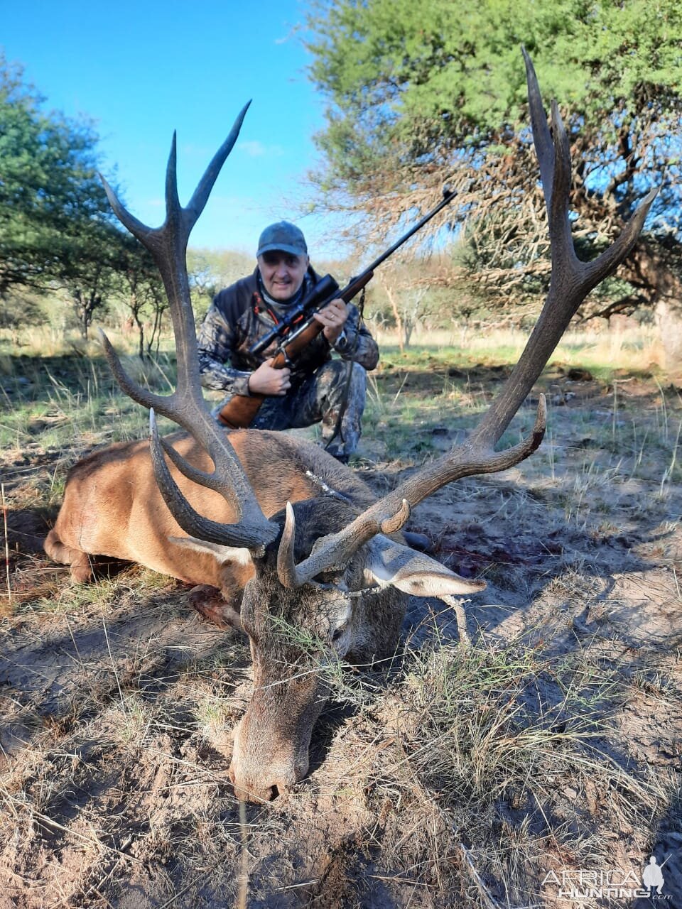 Red Stag Hunting Argentina