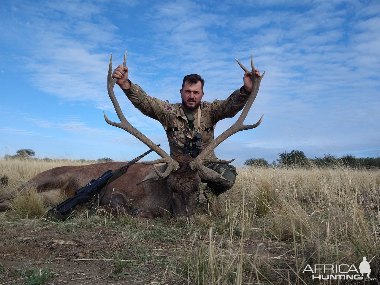 Red Stag Hunting Argentina