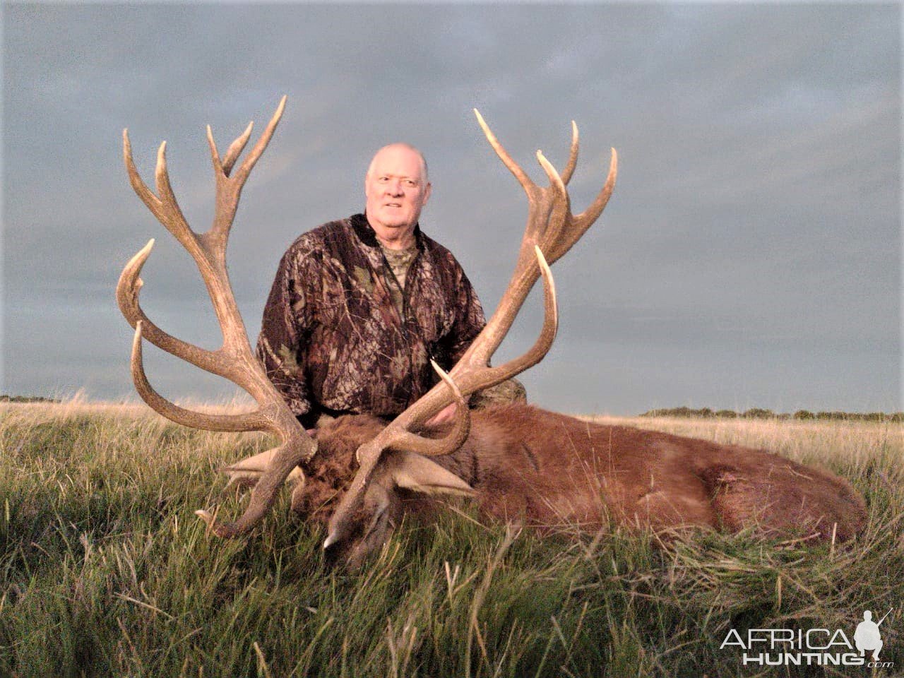 Red Stag Hunting Argentina