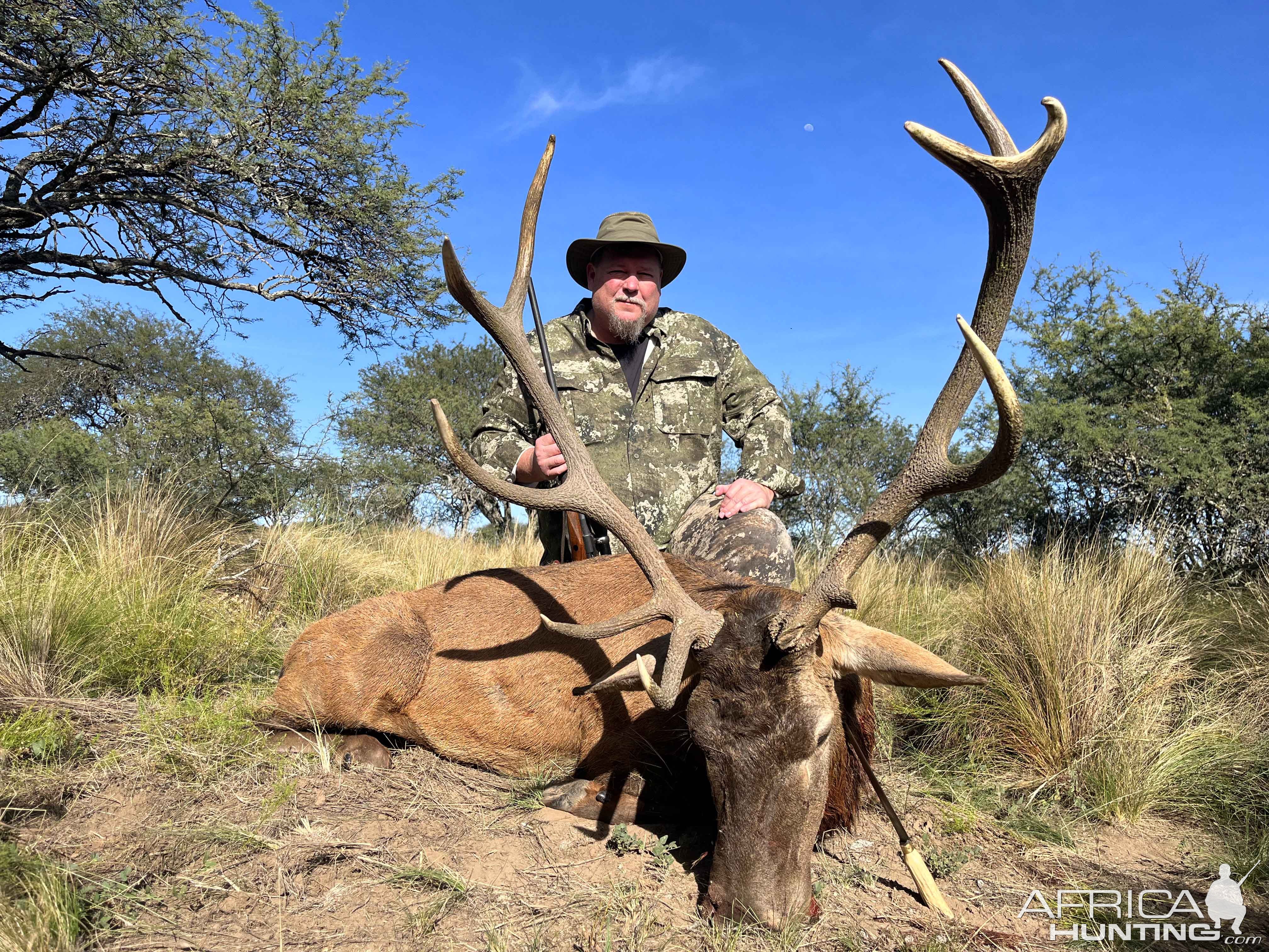 Red Stag Hunting Argentina