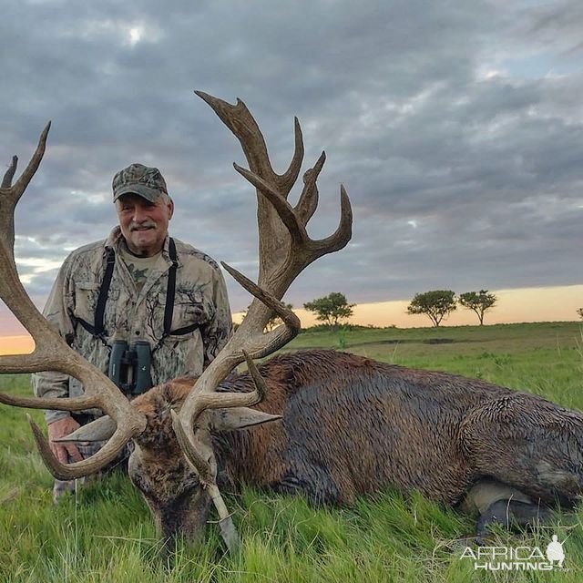 Red Stag Hunting Argentina