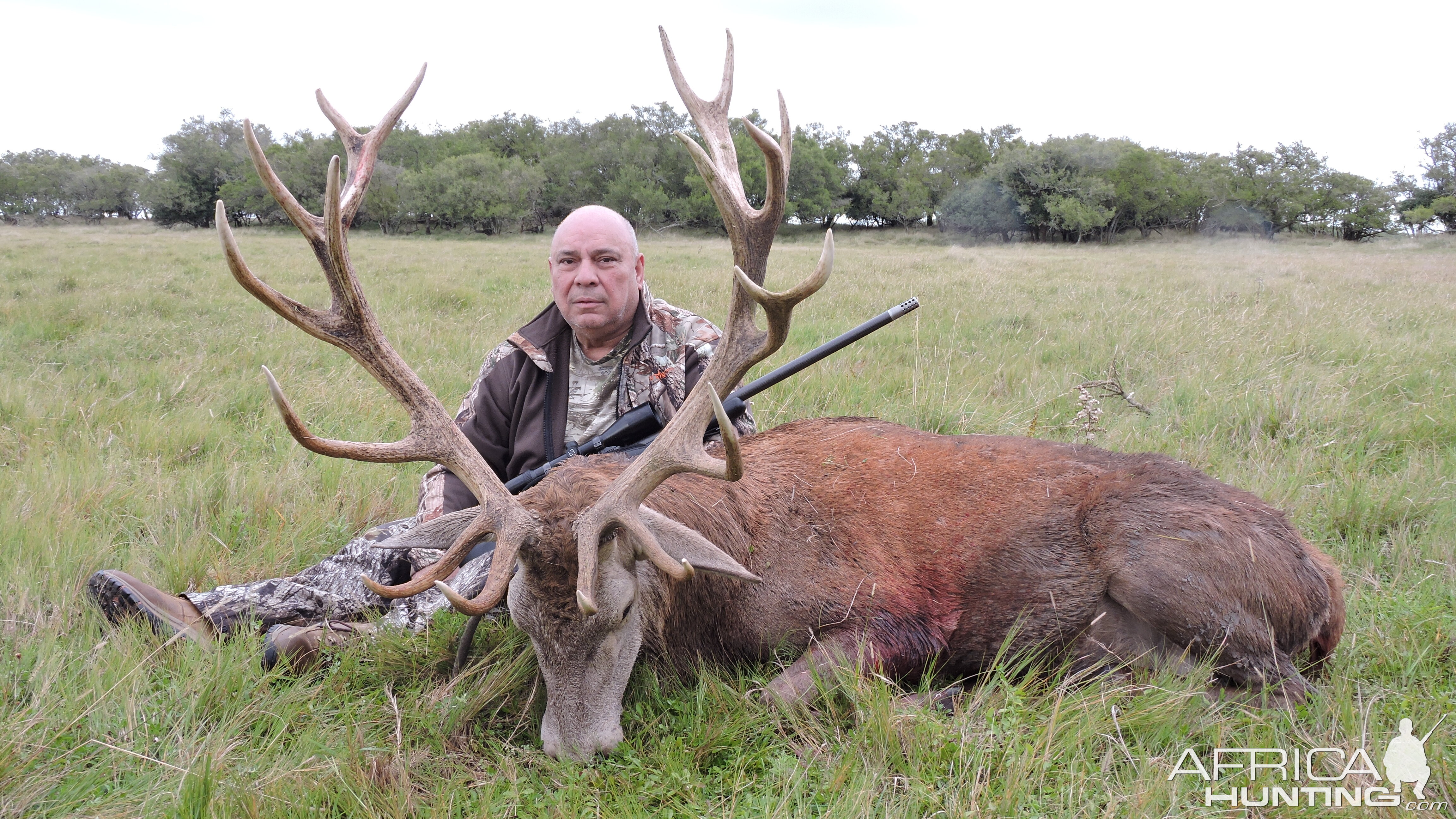 Red Stag Hunting Argentina