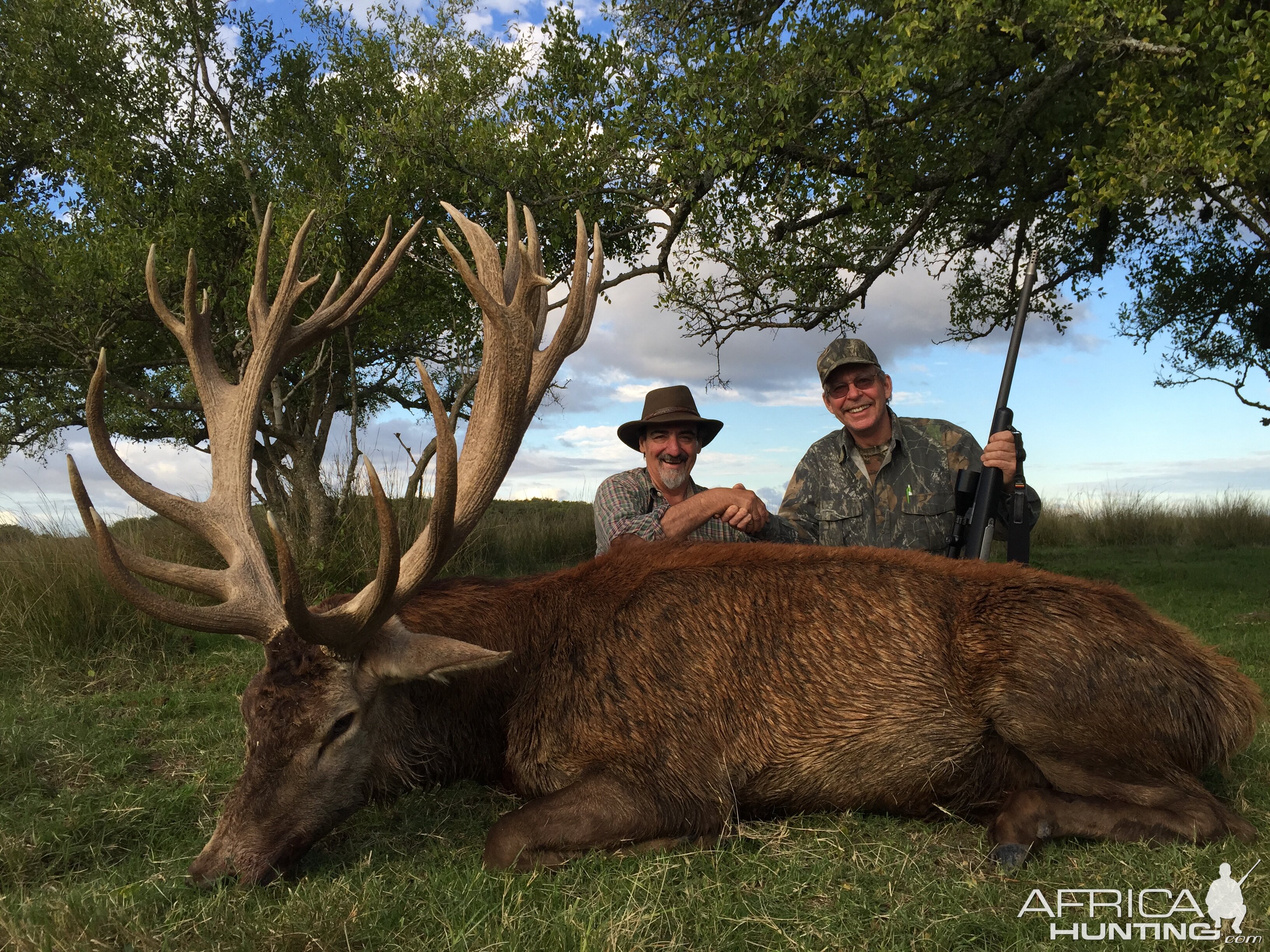 Red Stag Hunting Argentina