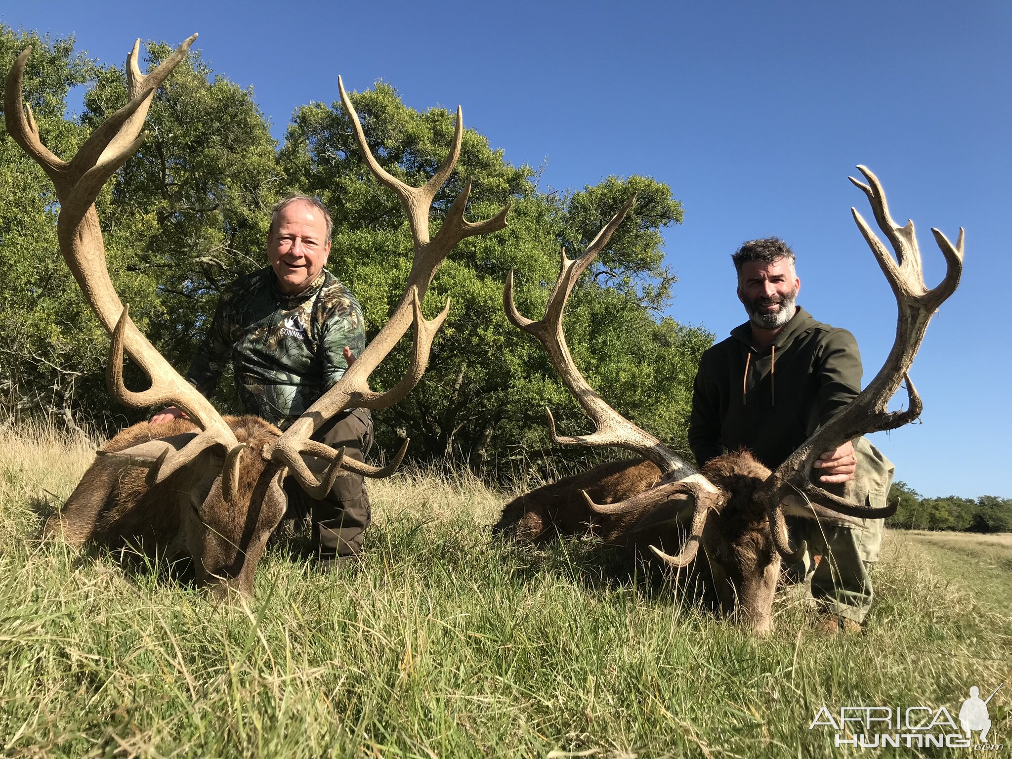 Red Stag Hunting Argentina