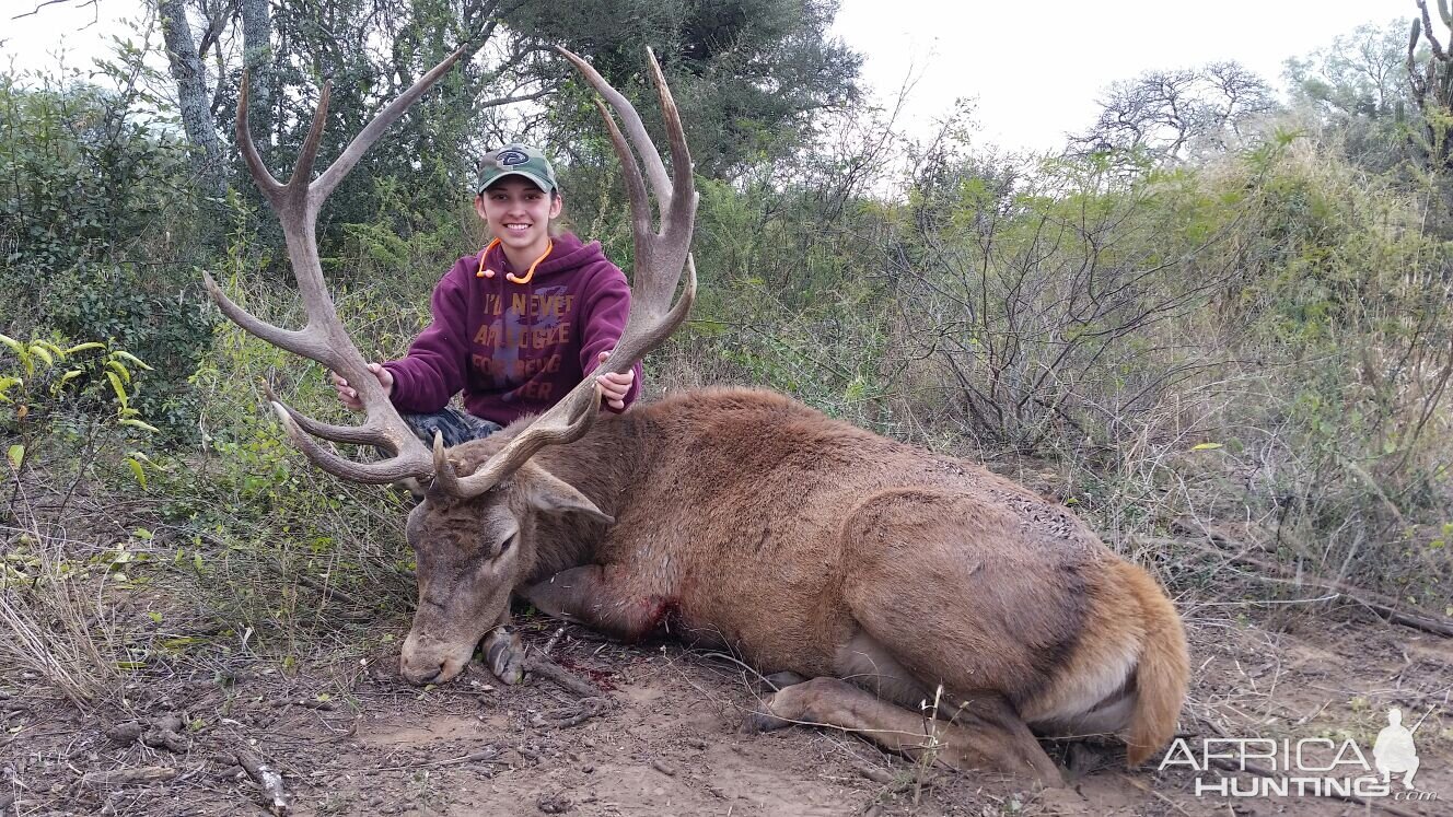 Red Stag Hunting Argentina