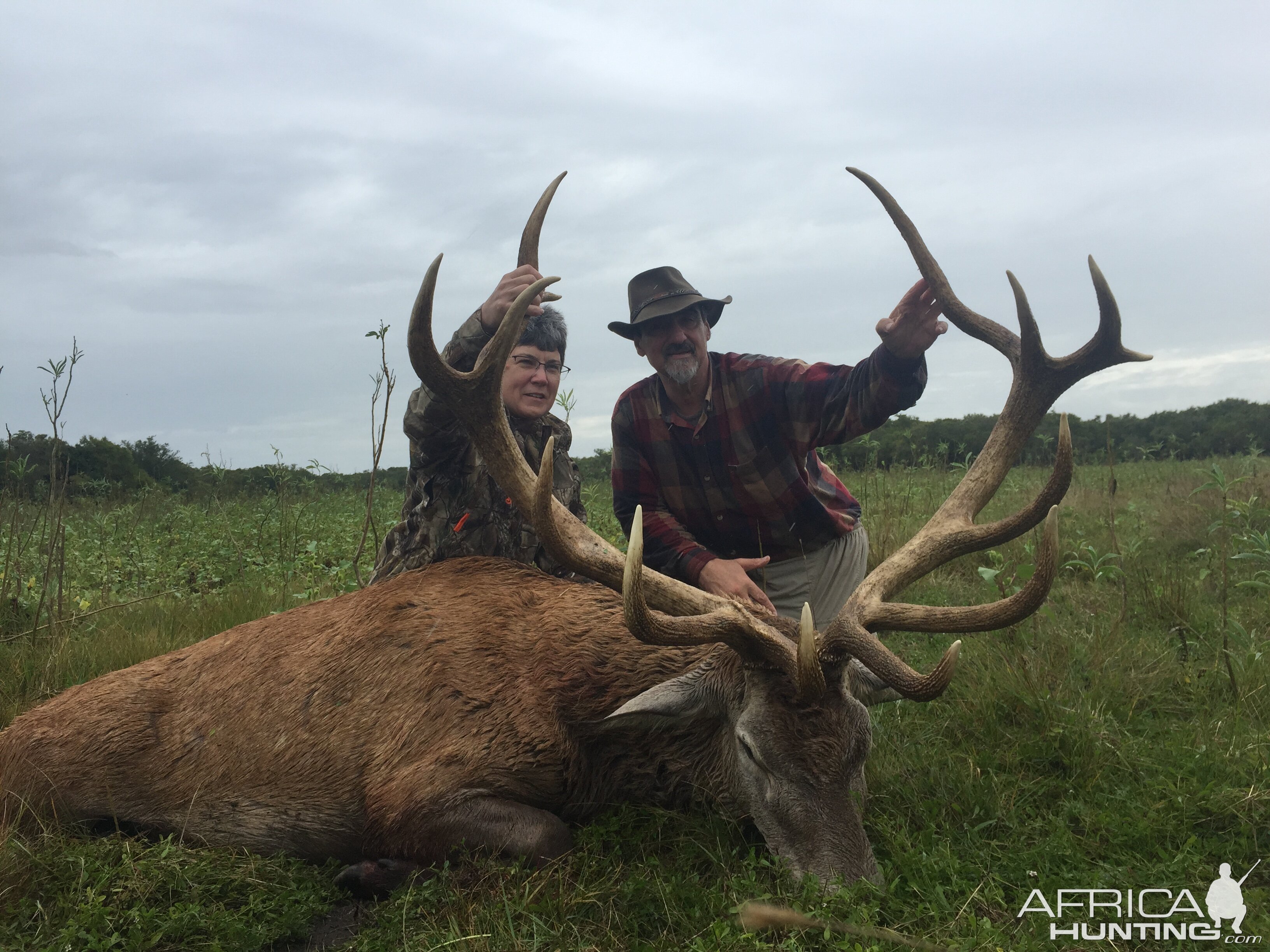 Red Stag Hunting Argentina