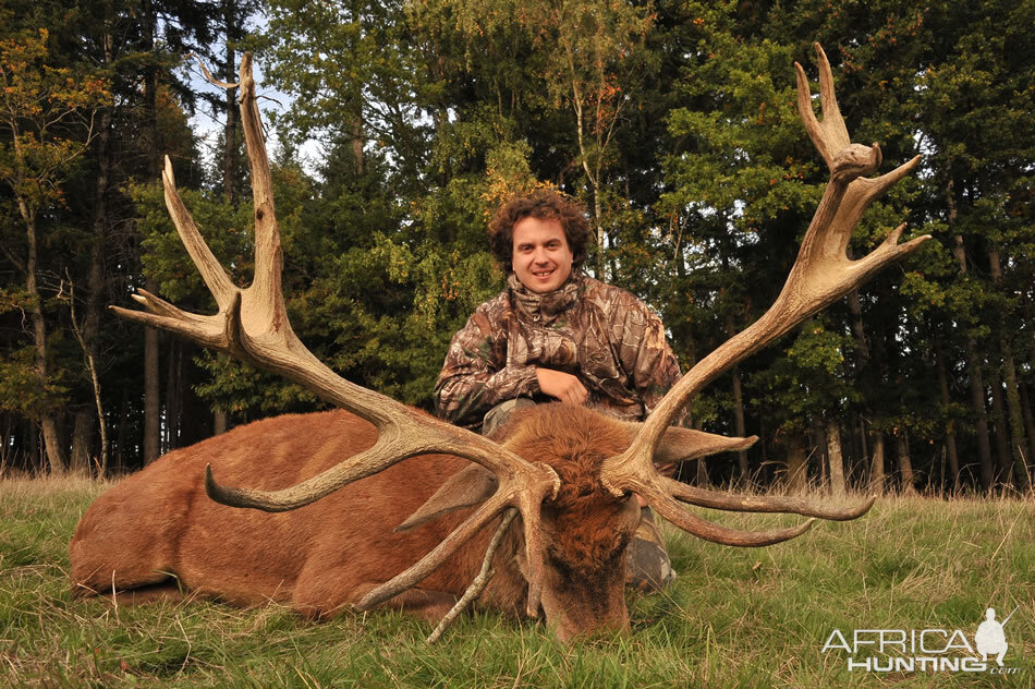 Red Stag Hunting France