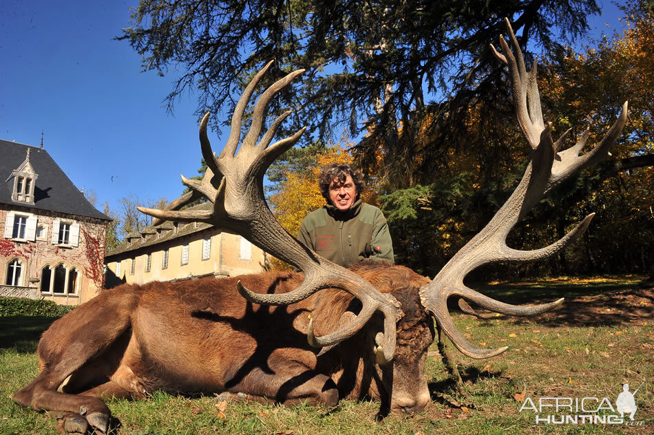 Red Stag Hunting France