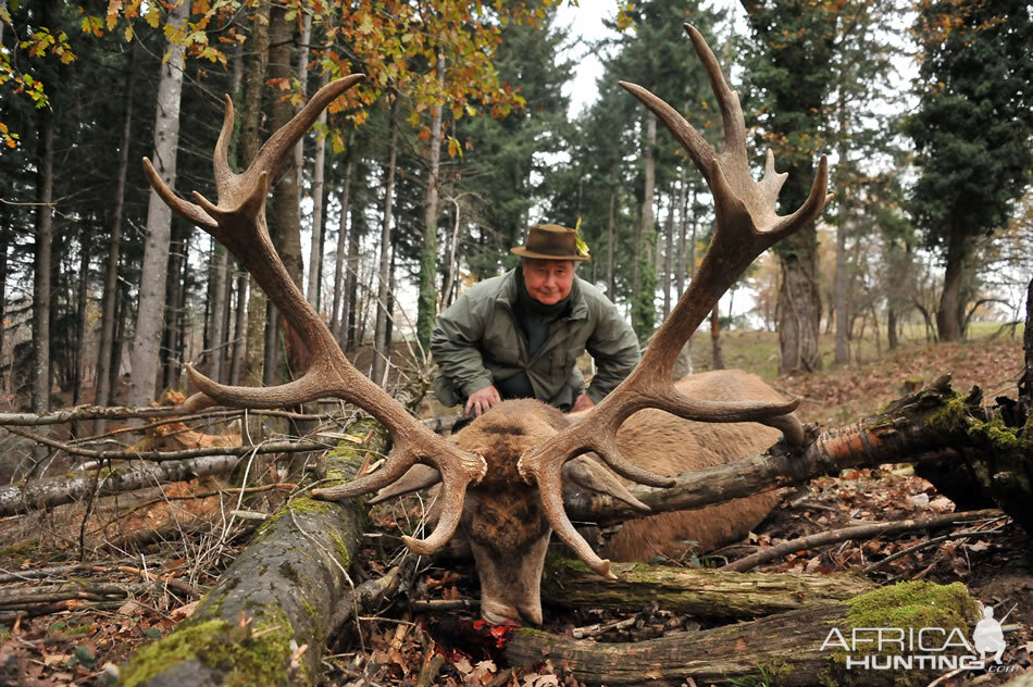 Red Stag Hunting France