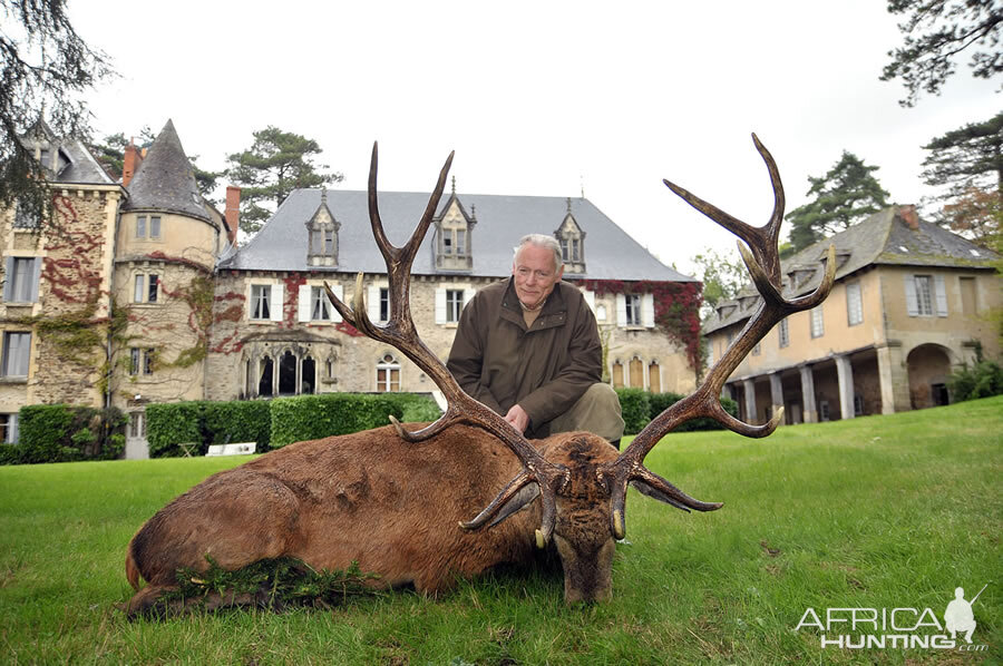 Red Stag Hunting in France