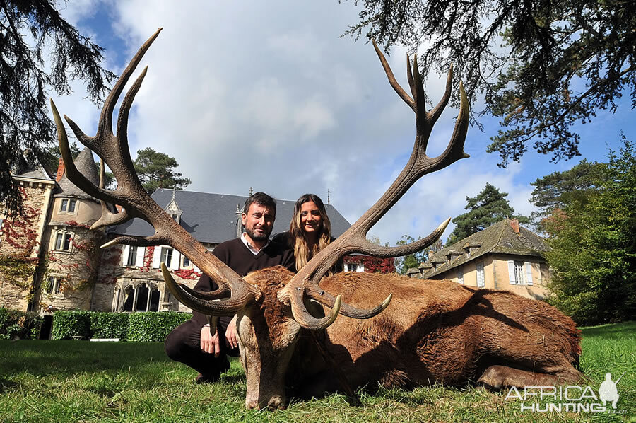 Red Stag Hunting in France