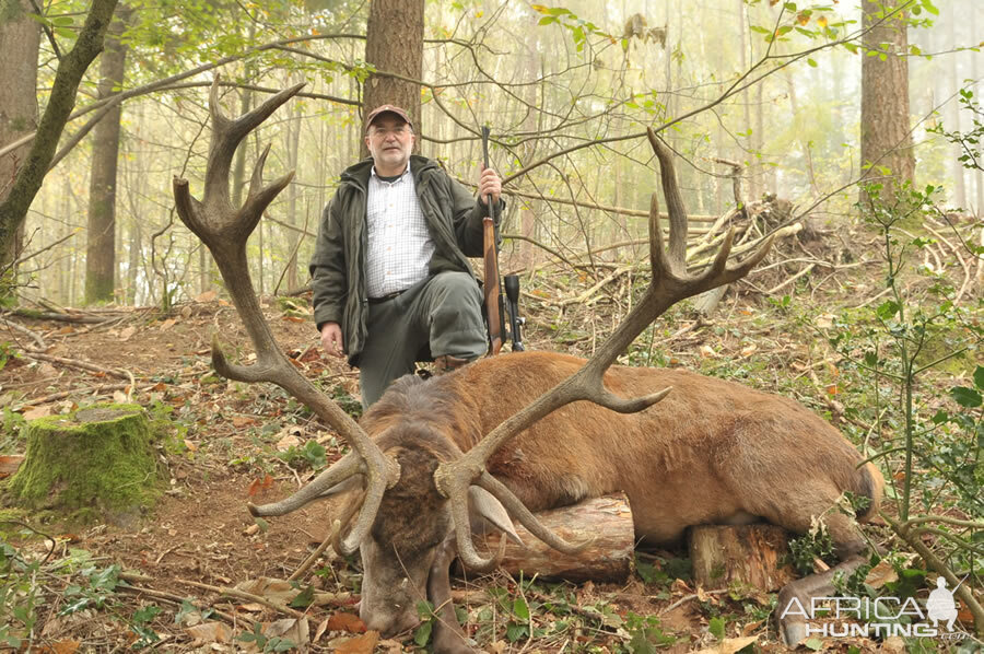 Red Stag Hunting in France