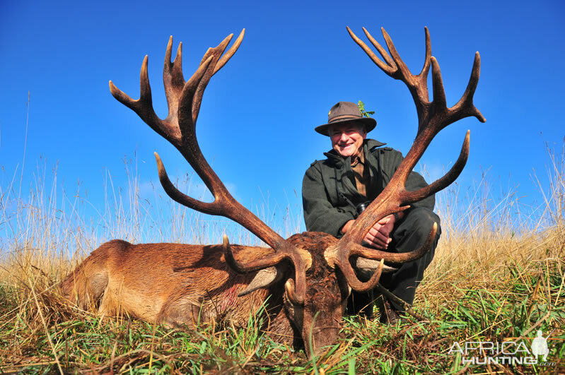 Red Stag Hunting in France