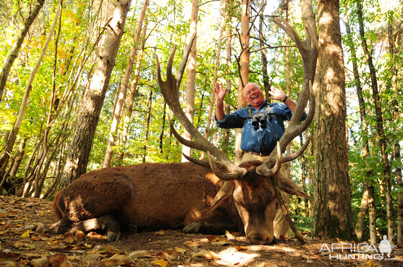 Red Stag Hunting in France