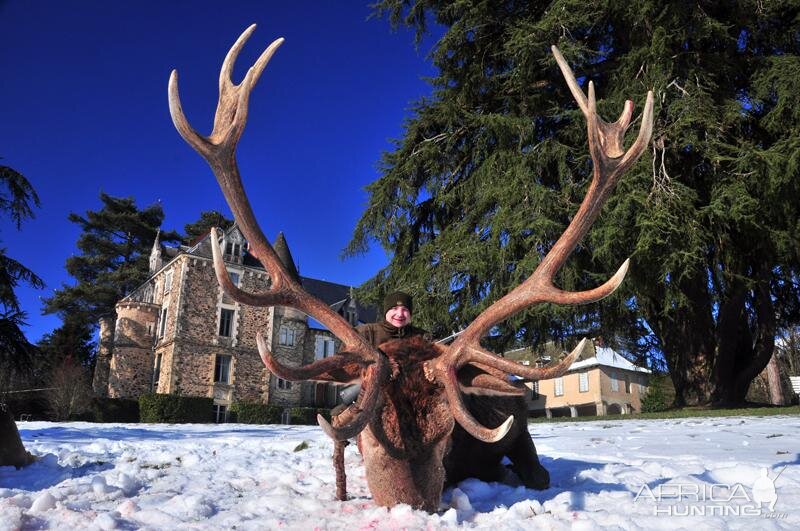 Red Stag Hunting in France