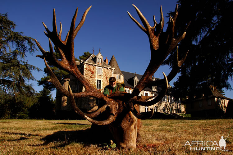 Red Stag Hunting in France