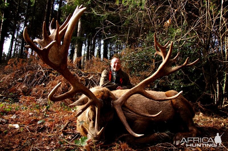 Red Stag Hunting in France