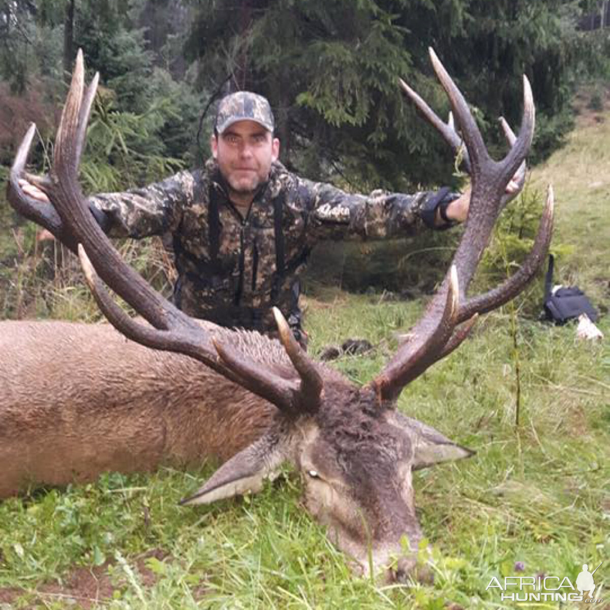 Red Stag Hunting Romania