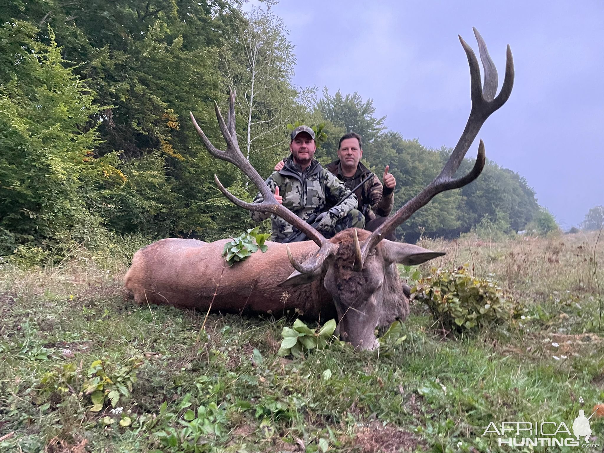 Red Stag Hunting Romania