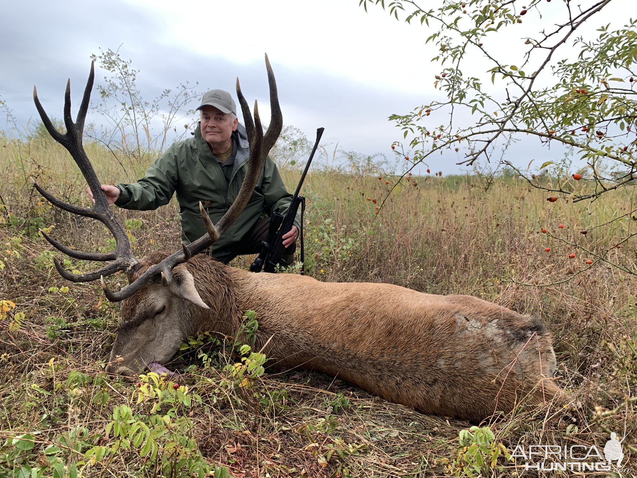 Red Stag Hunting Romania