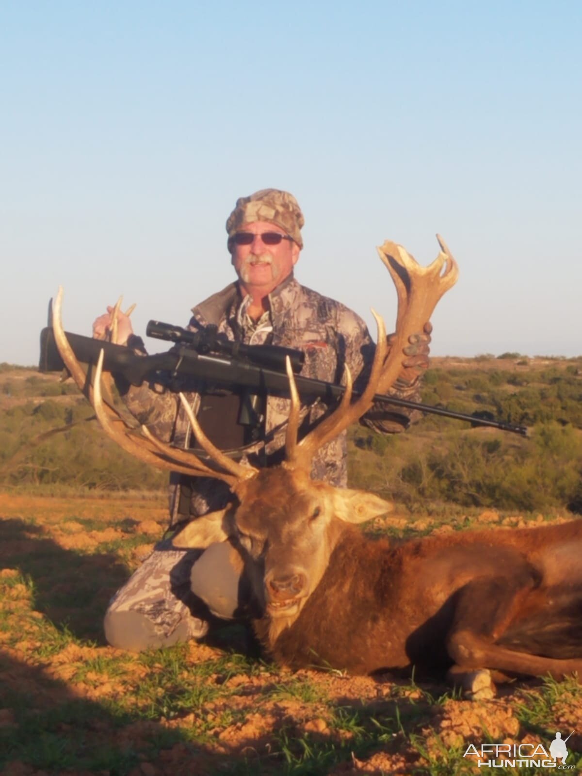 Red Stag Hunting Texas USA