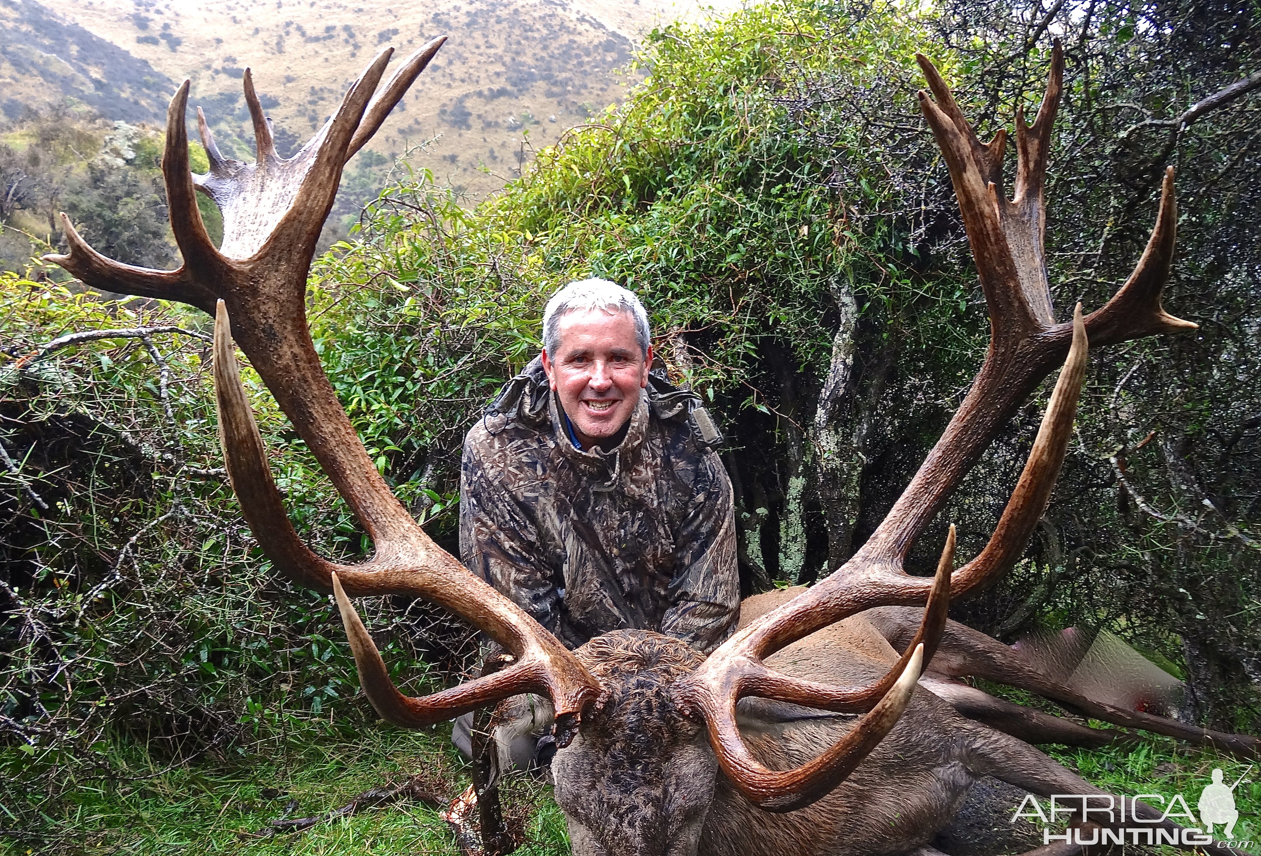 Red Stag NZ