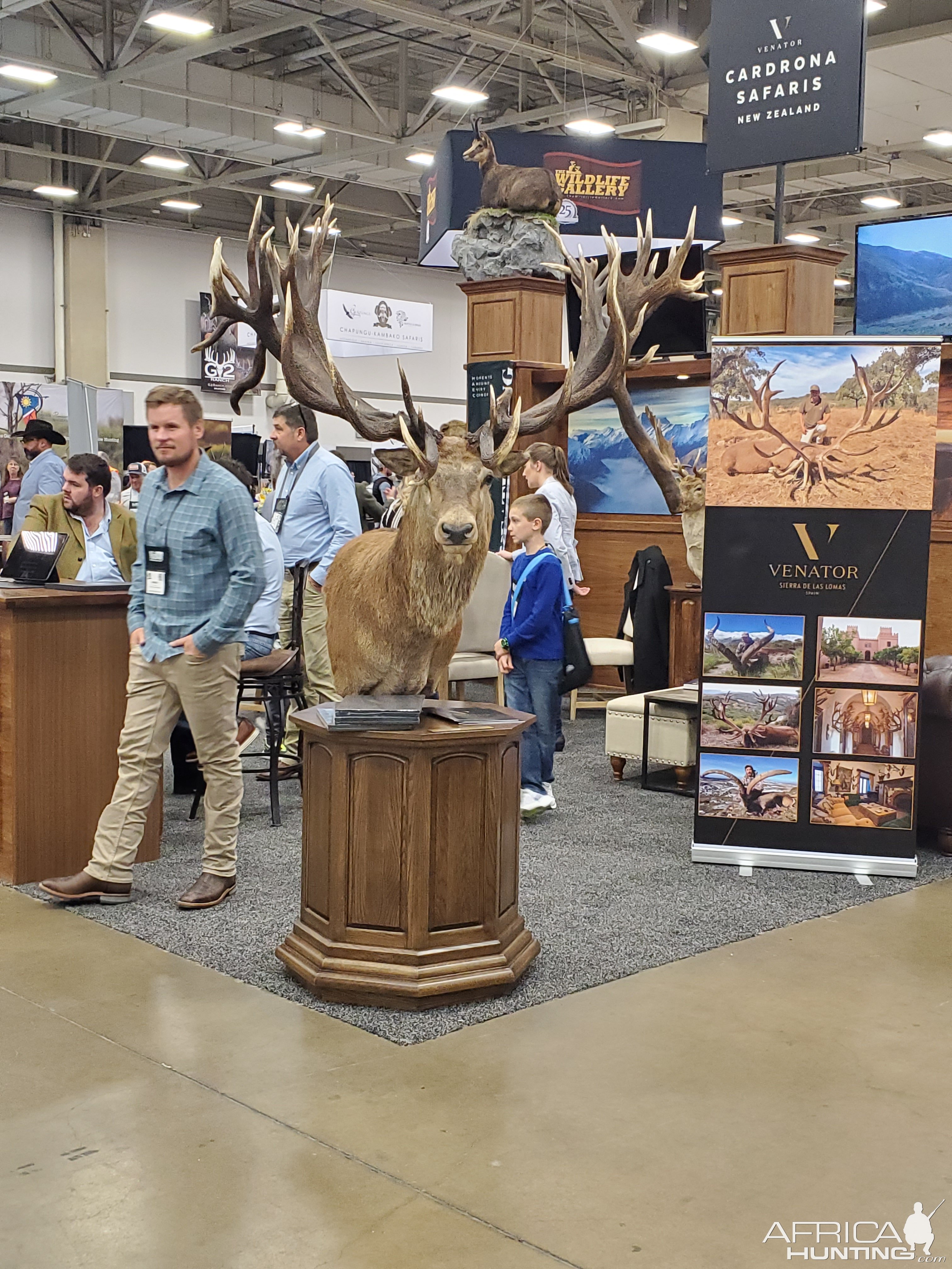 Red Stag Pedestal Mount Taxidermy