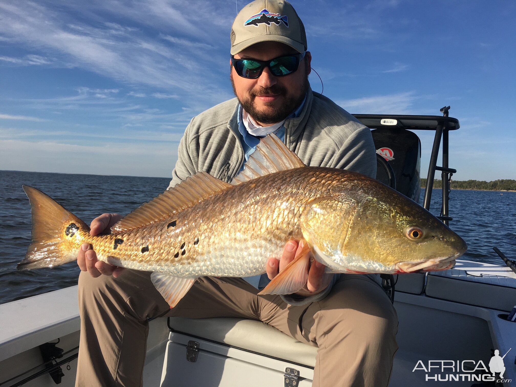 Redfish