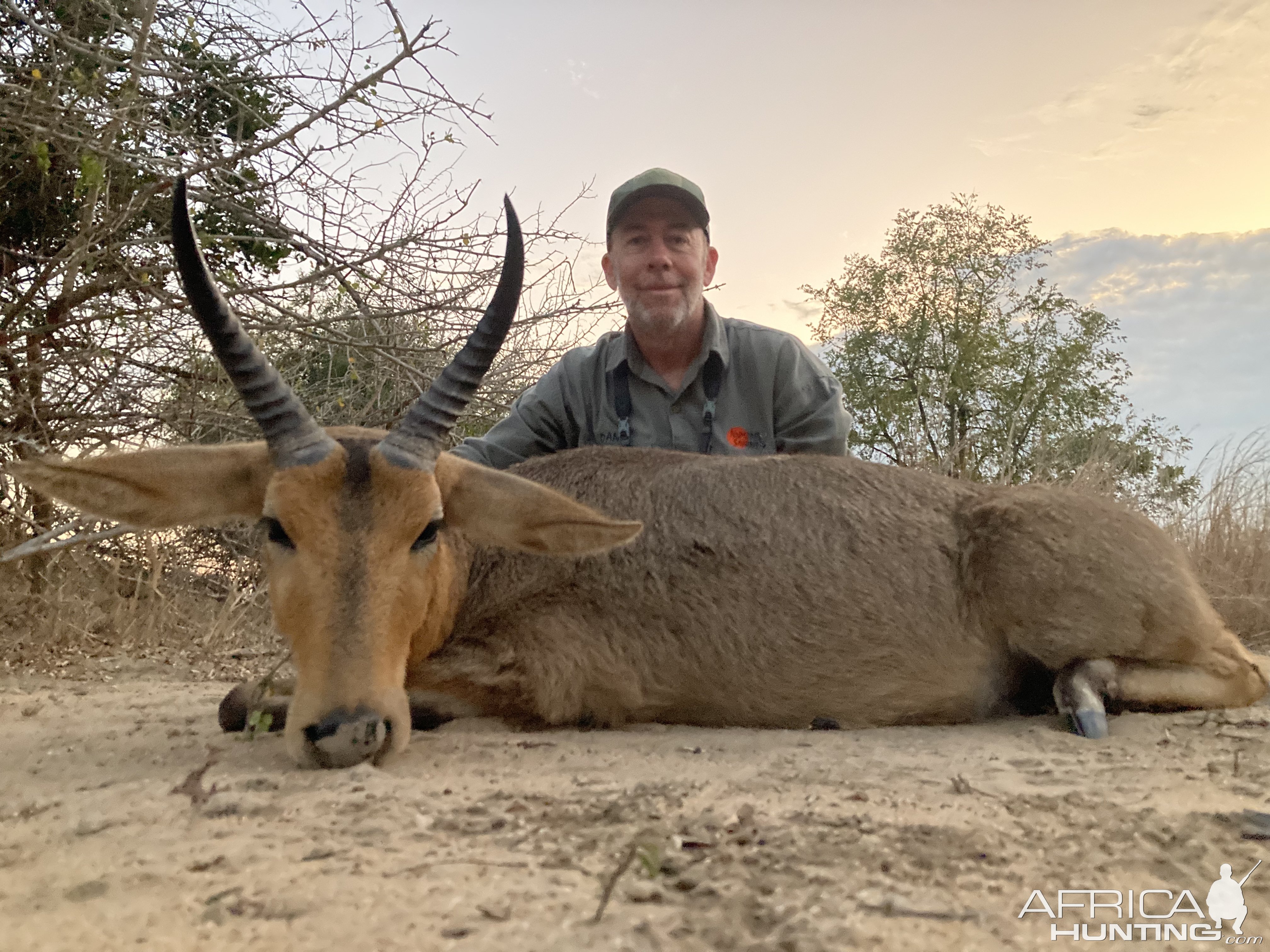 Reedbuck - C9 Mozambique