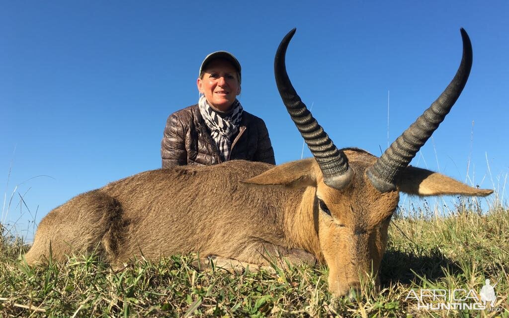 Reedbuck Hunt South Africa