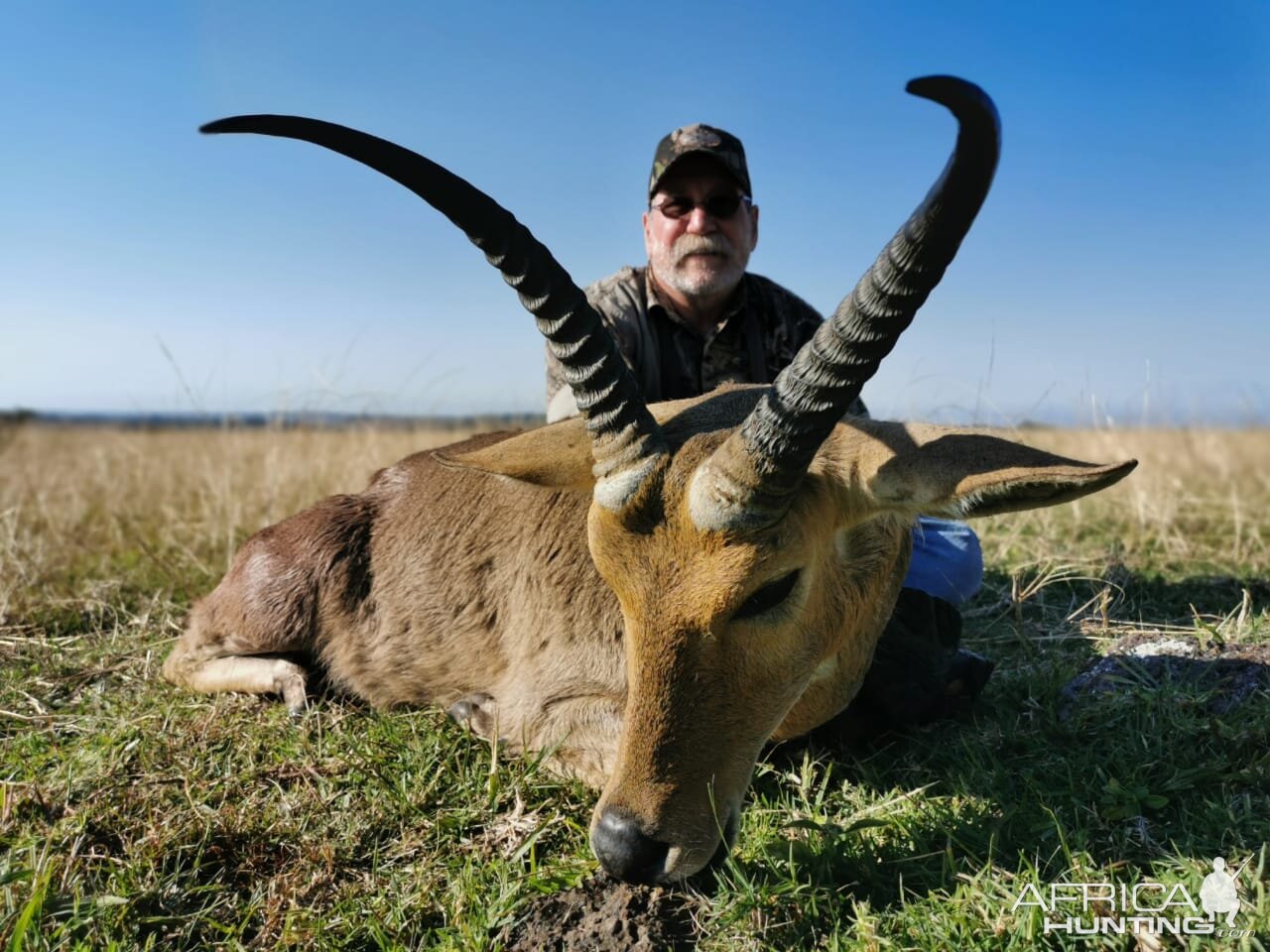 Reedbuck Hunt South Africa