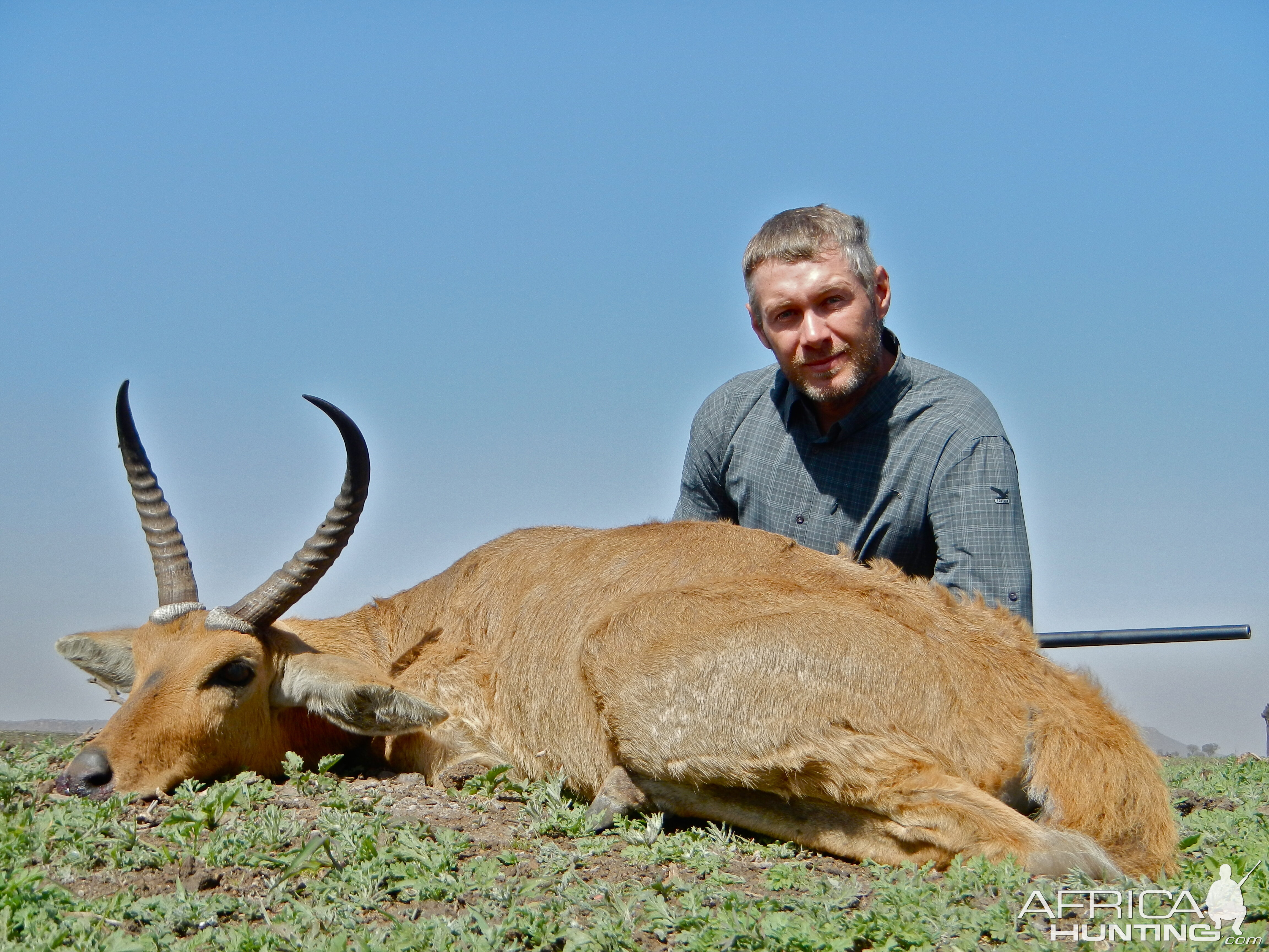 Reedbuck Hunt Zambeze Mozambique