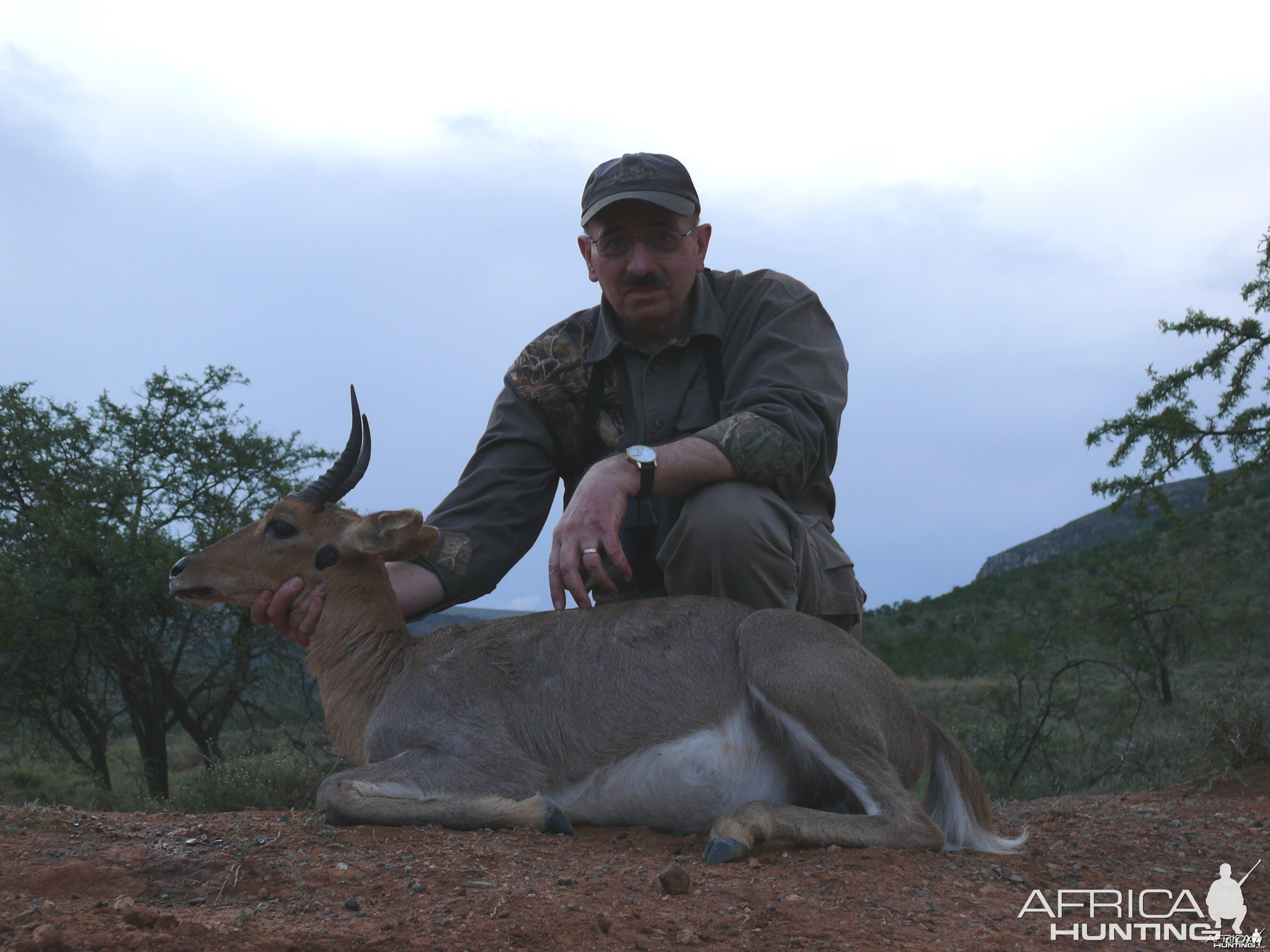 Reedbuck