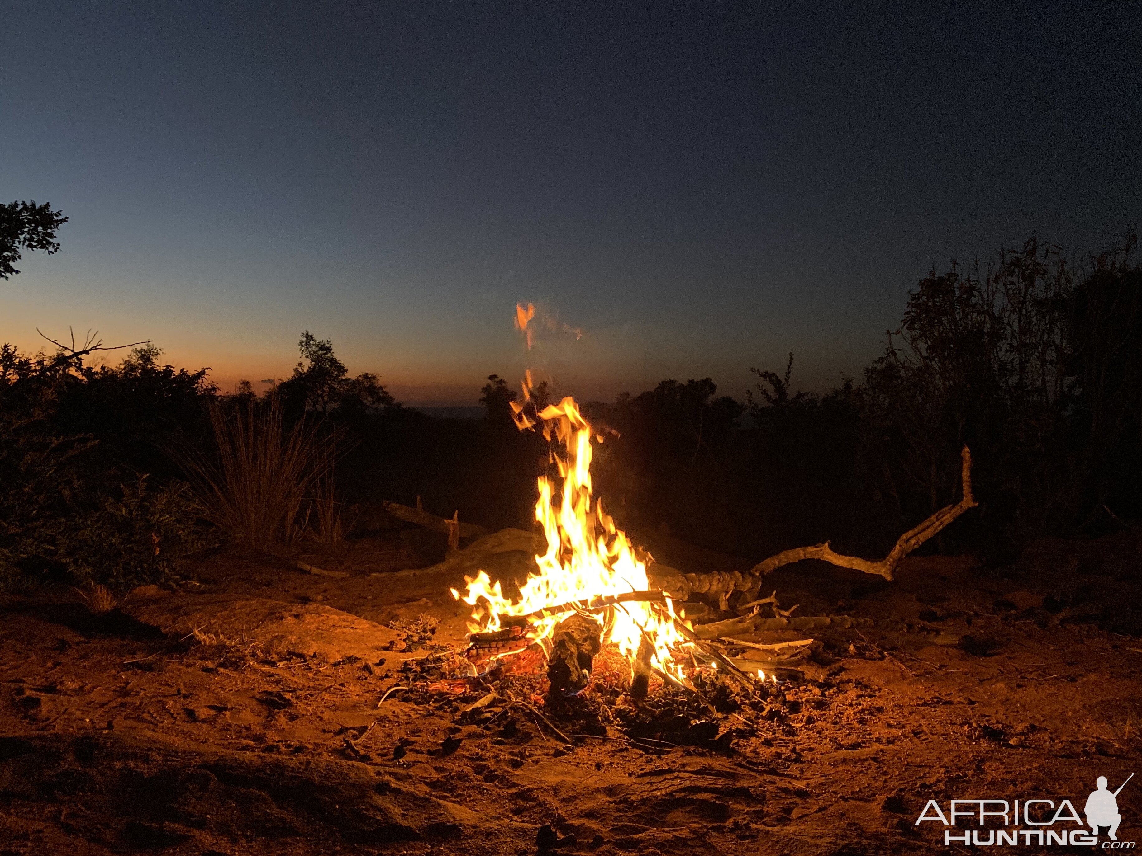 Relaxing after the hunt