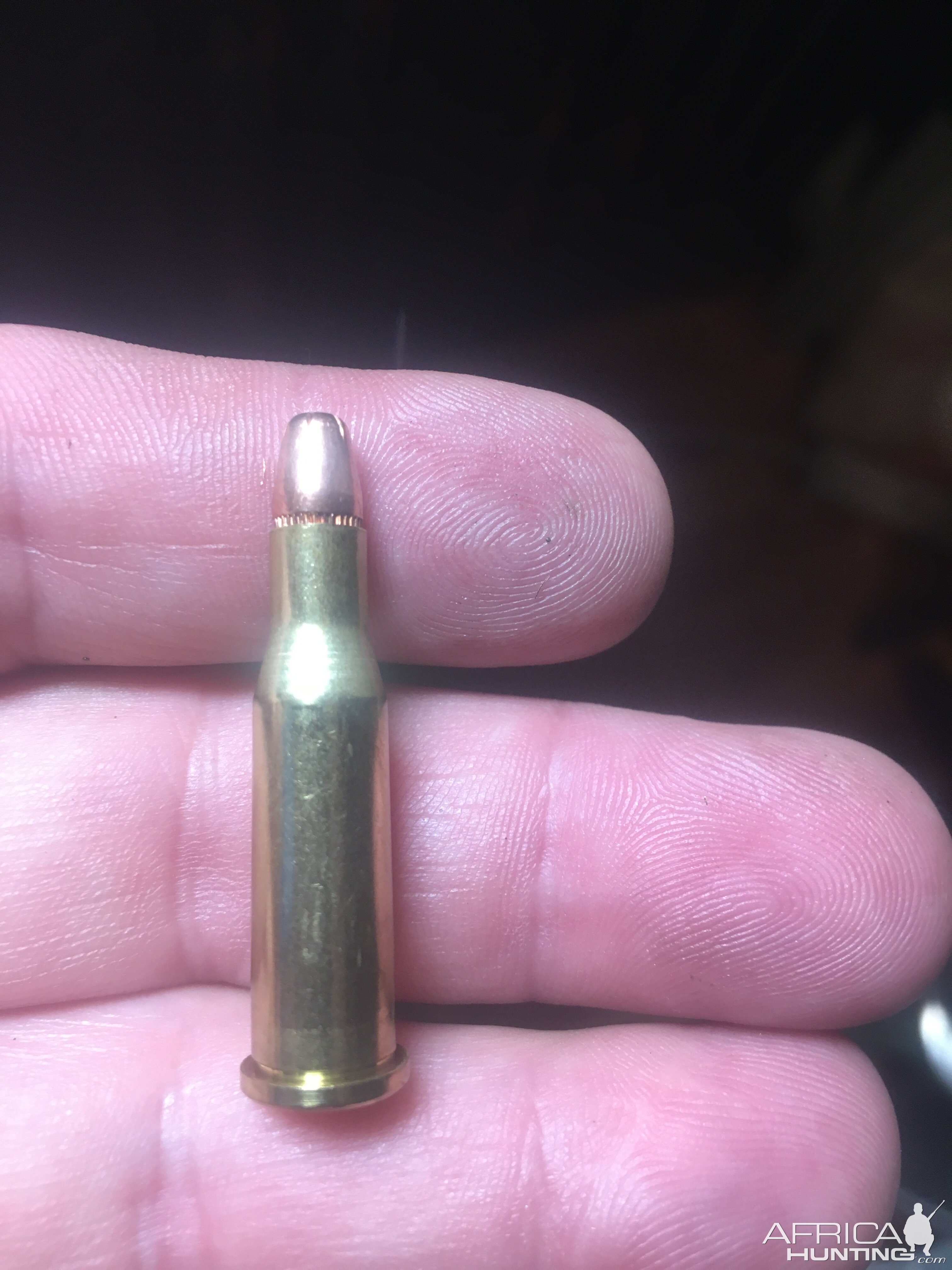 Reloaded .218 Cartridge