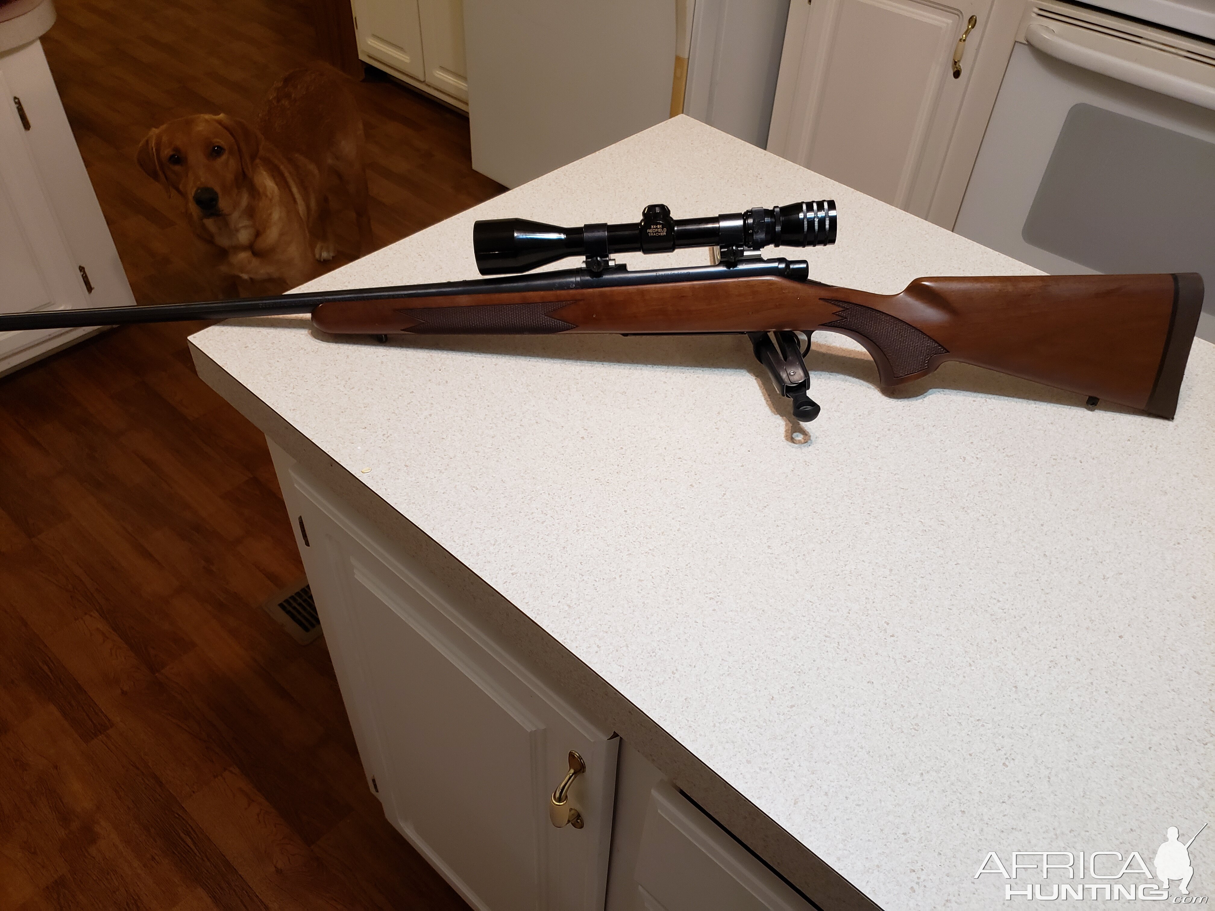 Remington 700 Classic Ltd. 8mm Mag Rifle